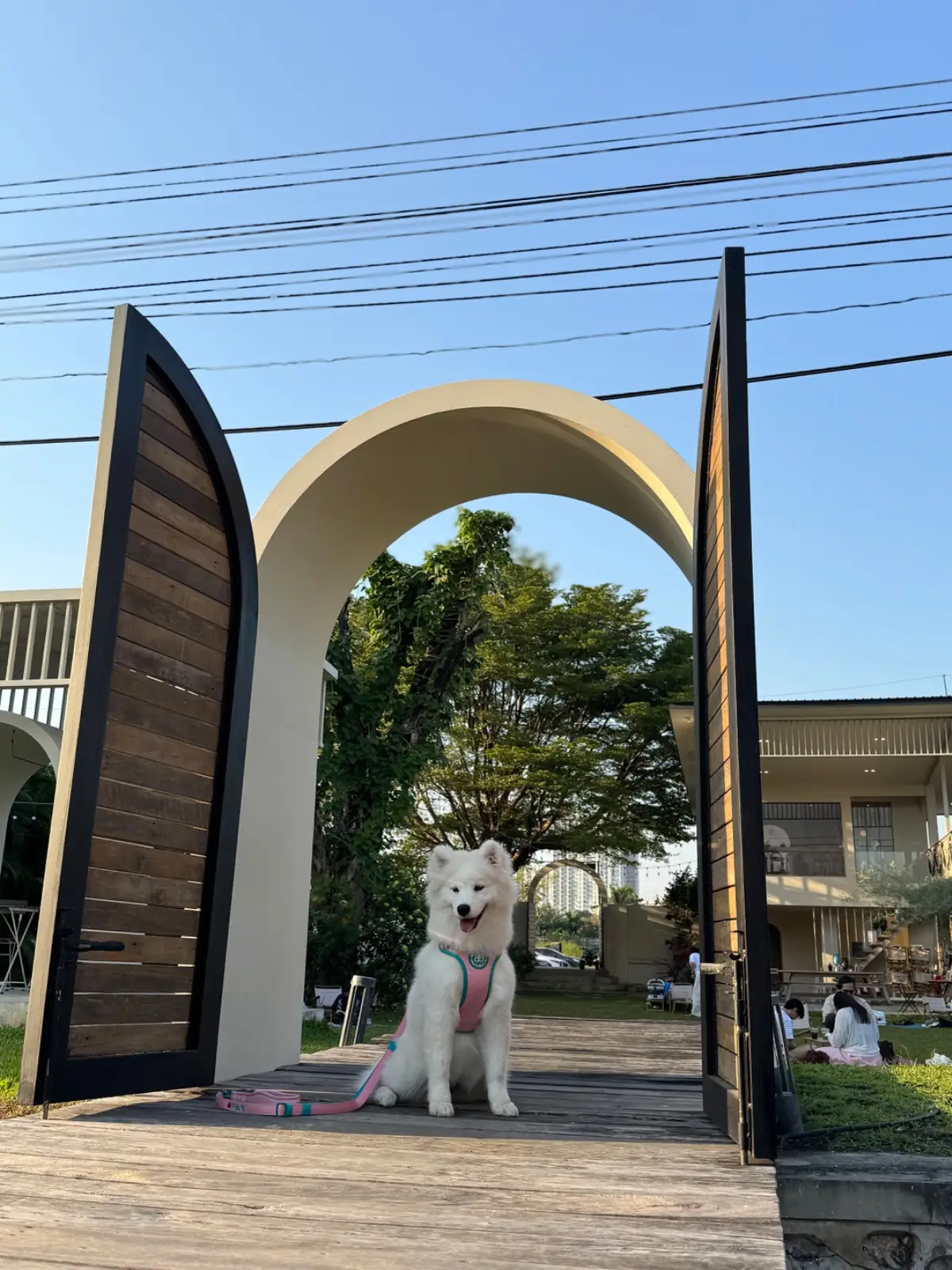 Grandma's Garden.BKK pets image 3