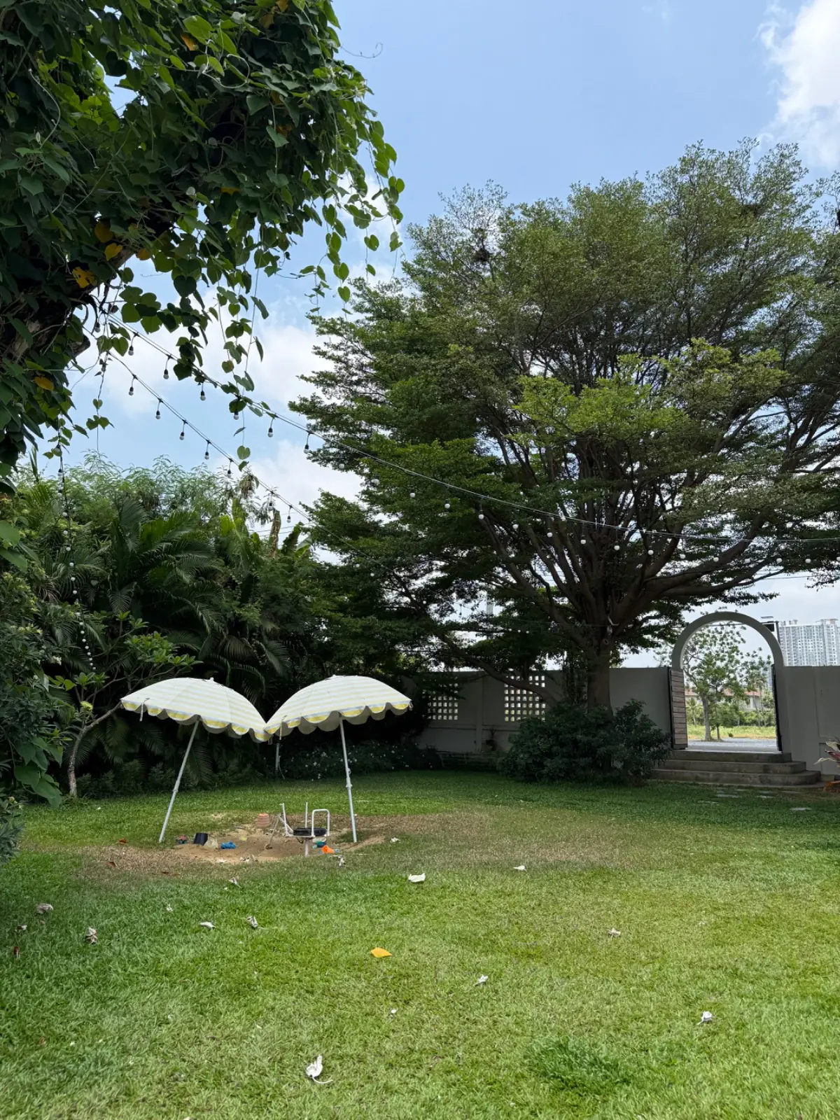 Grandma's Garden overall image 6