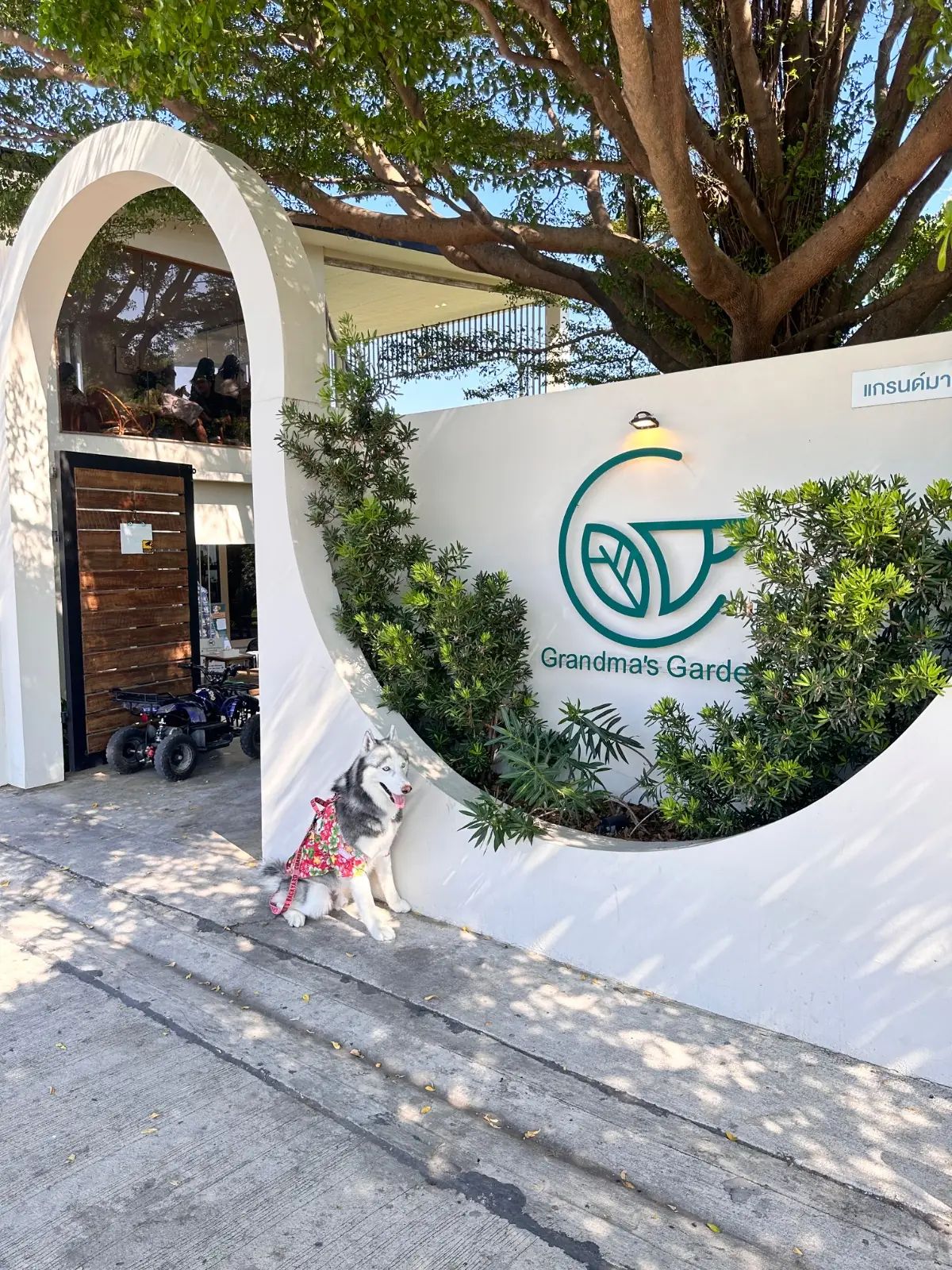 Grandma's Garden overall image 4