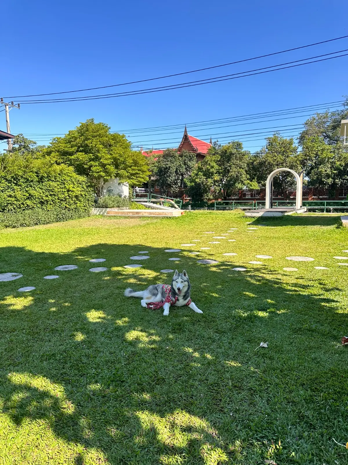 Grandma's Garden overall image 5