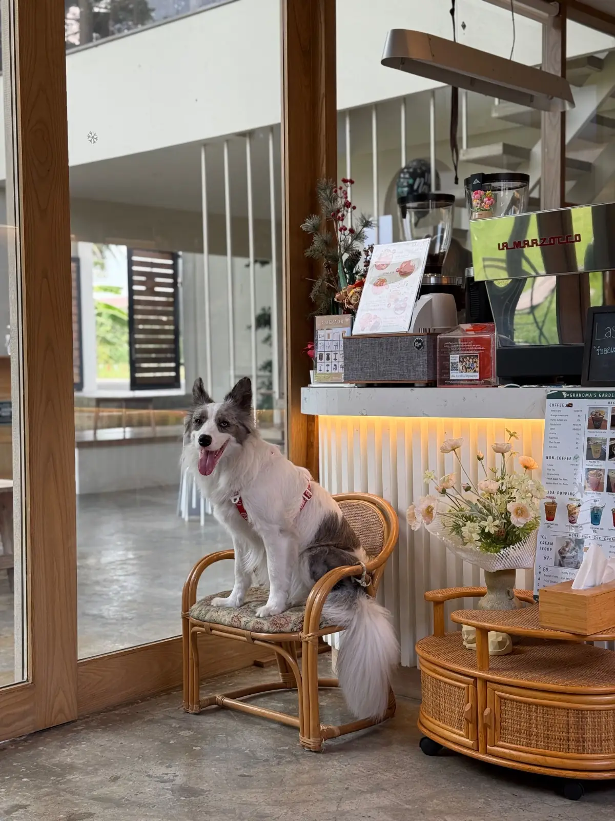 Grandma's Garden overall image 7