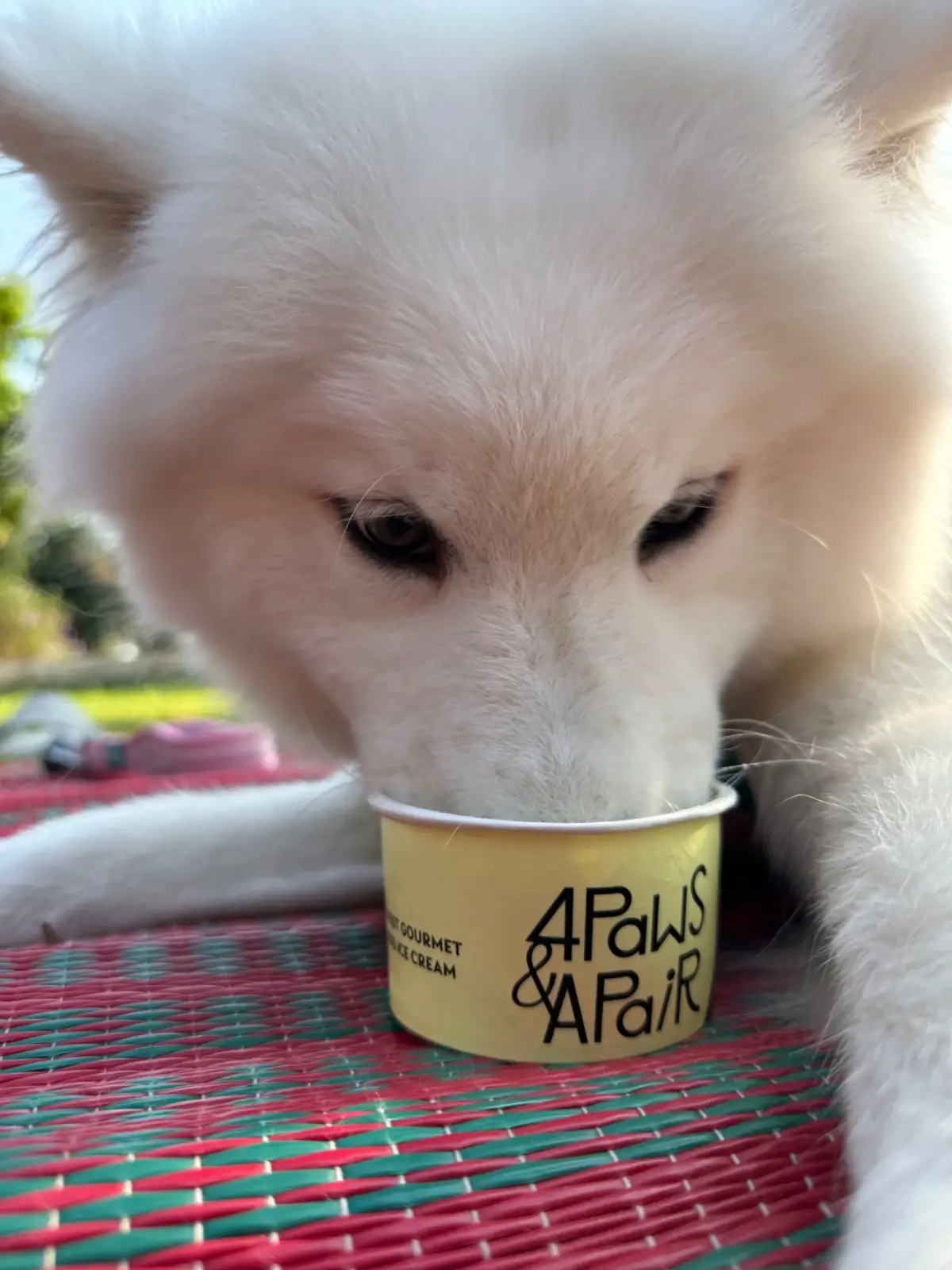 Grandma's Garden.BKK pets image 1