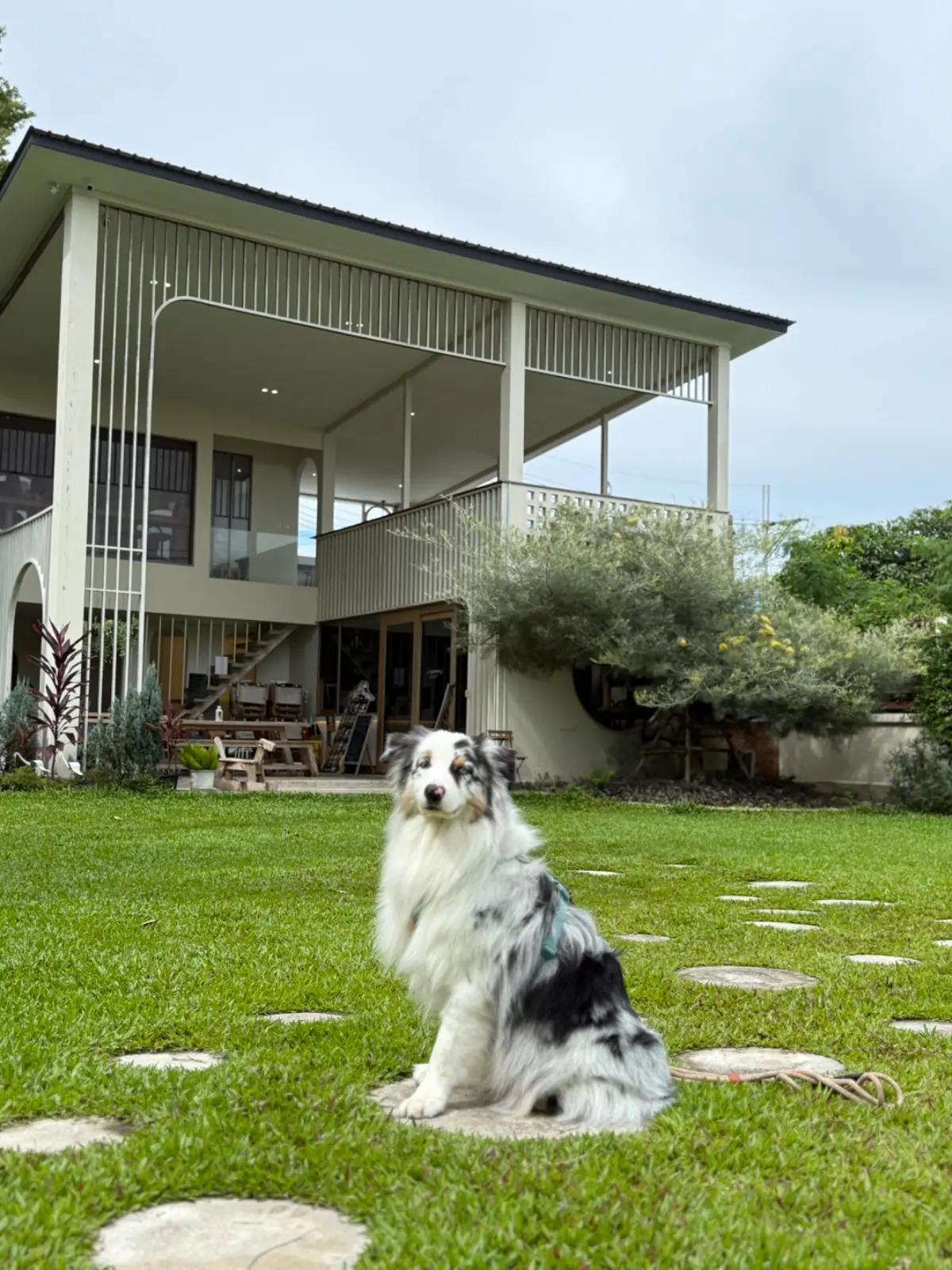 Grandma's Garden pets image 16