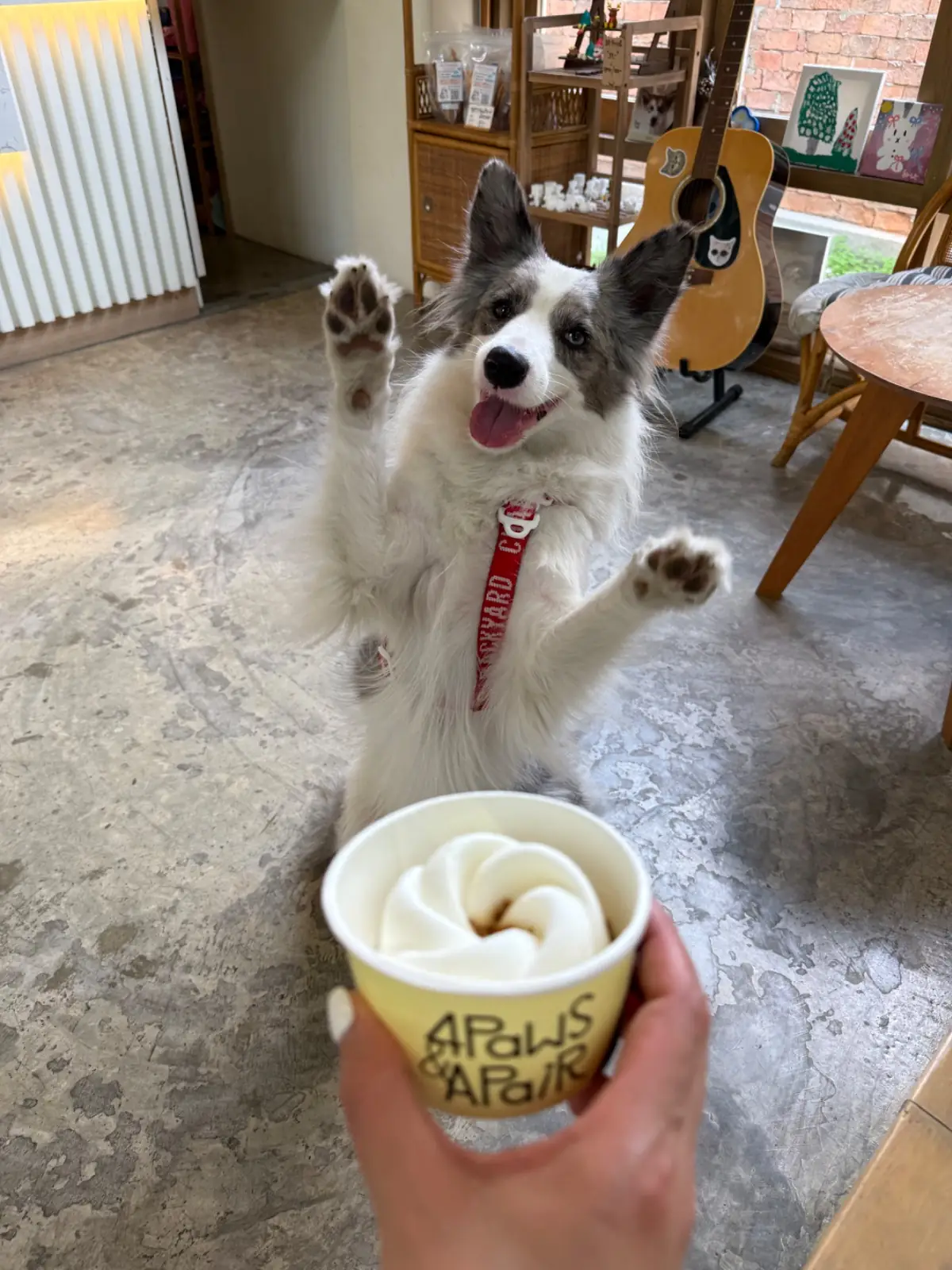 Grandma's Garden pets image 12