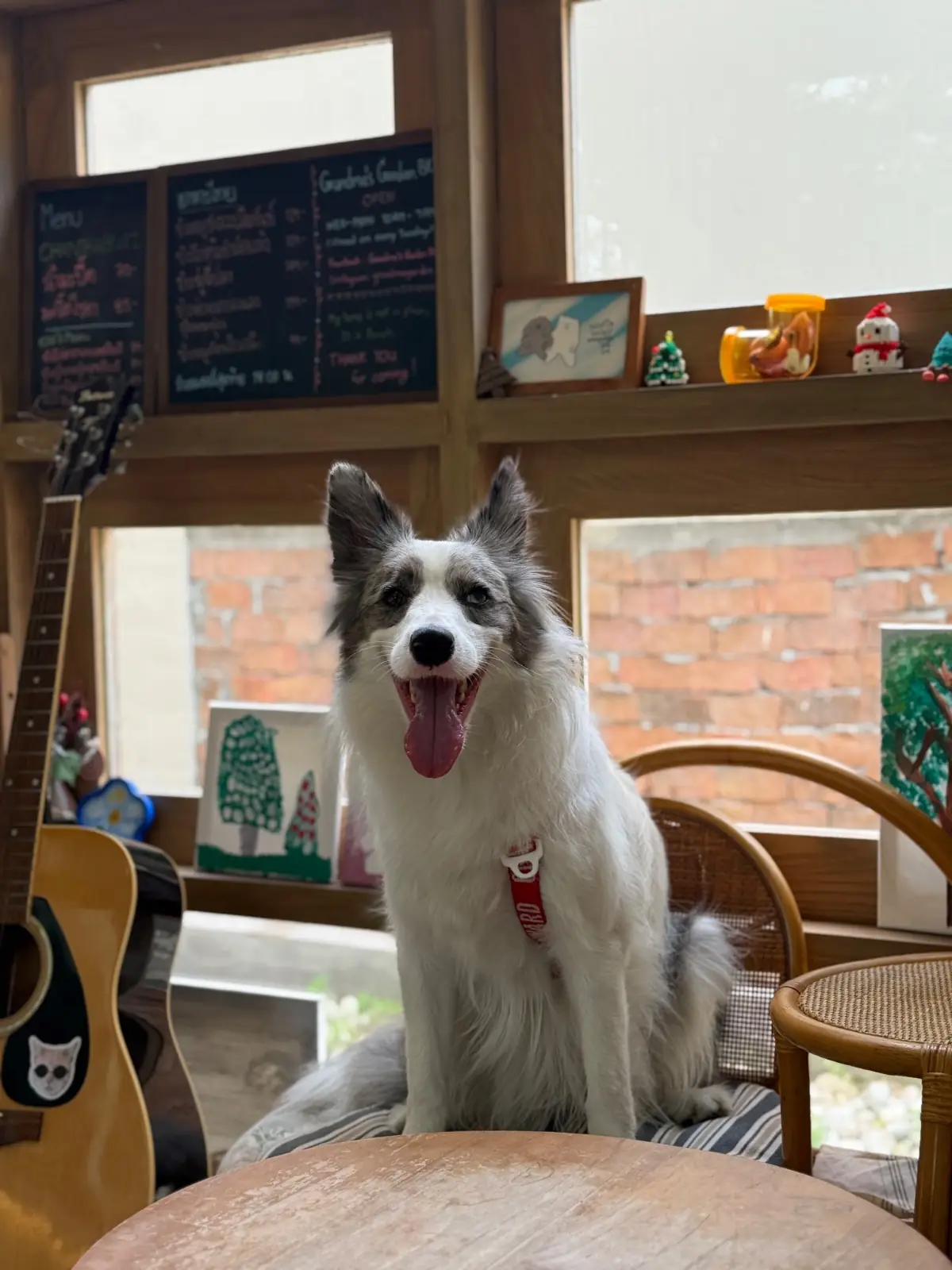 Grandma's Garden pets image 14