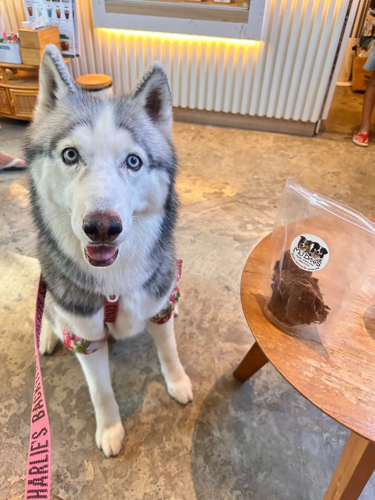 Grandma's Garden pets image 11