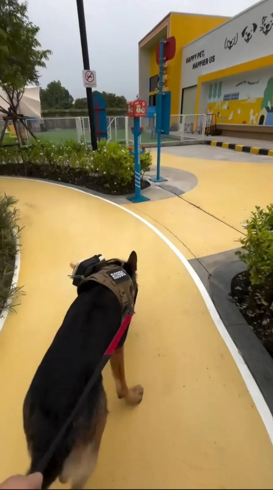 PET 'N ME - Ratchaphruek pets image 1