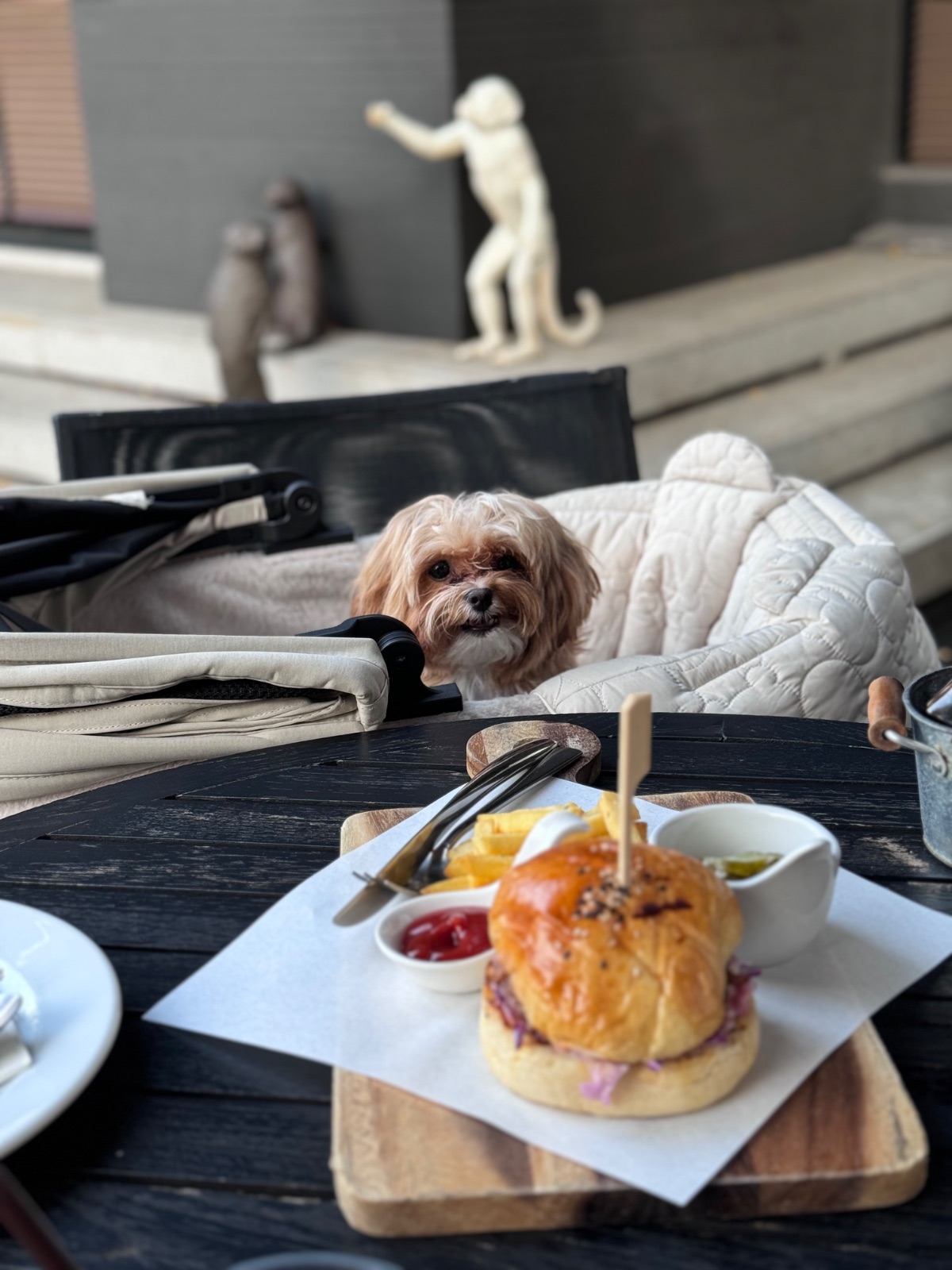 The Hub Cafe and Eatery pets image 1