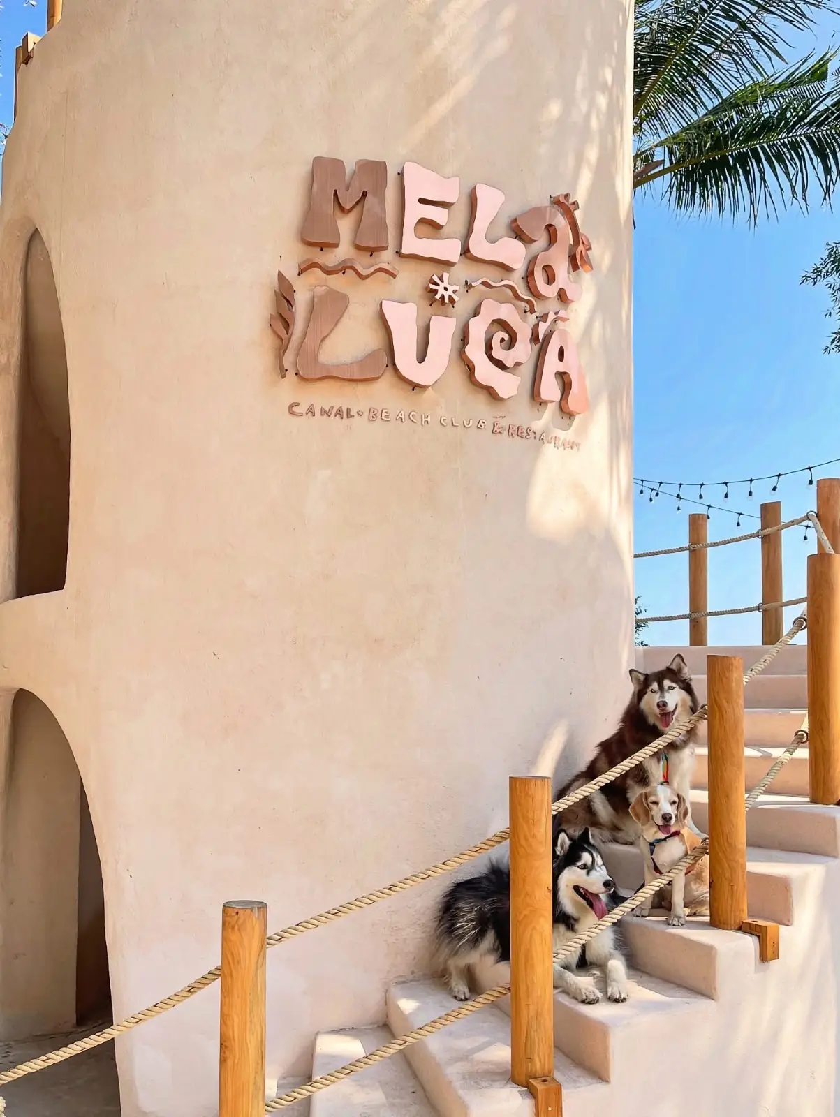 Melaluca Canal Beach Club & Restaurant pets image 1