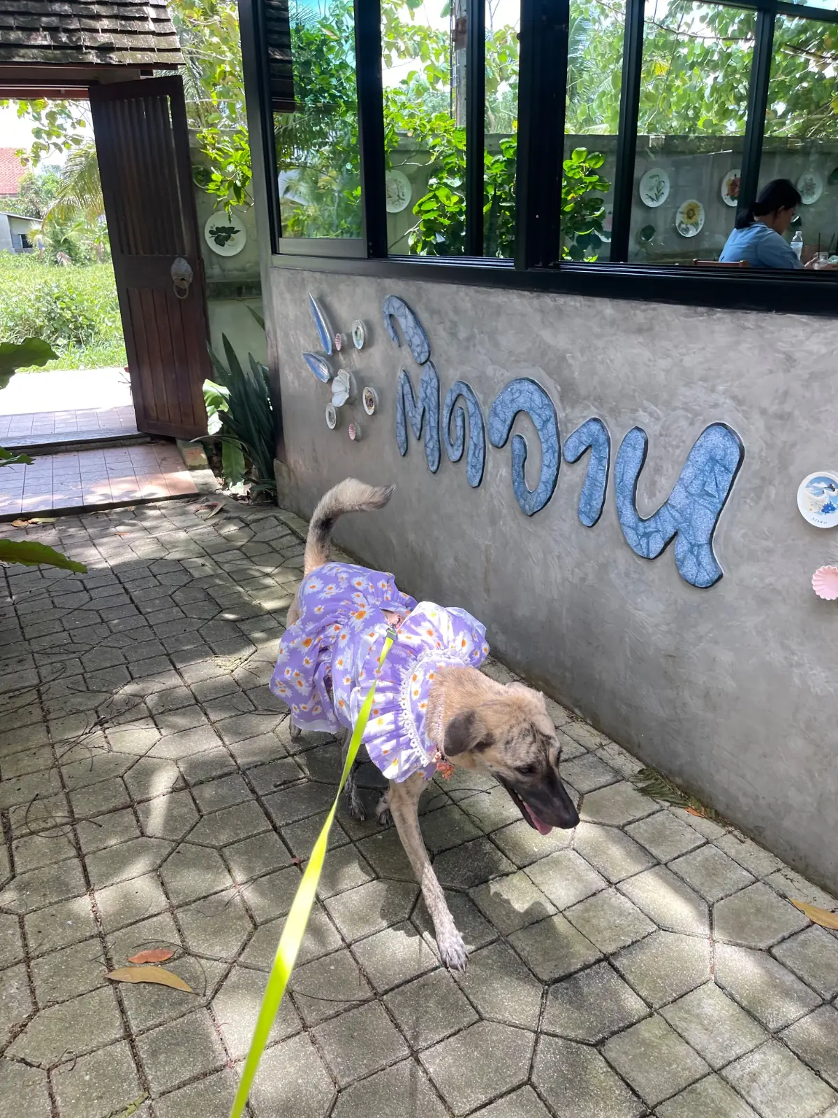 ติดจาน Dish-Aholics hero image 2