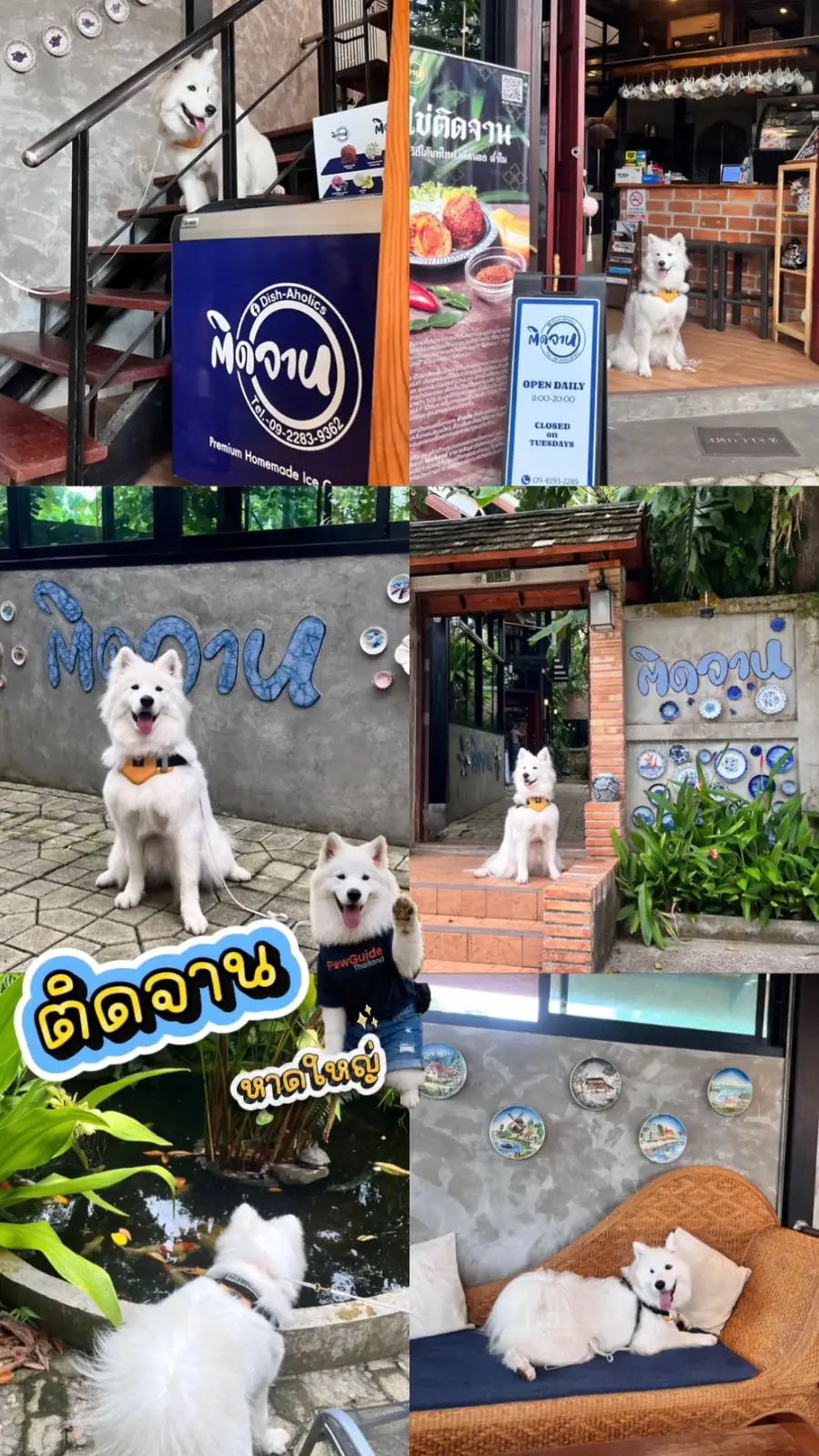 ติดจาน Dish-Aholics other image 1