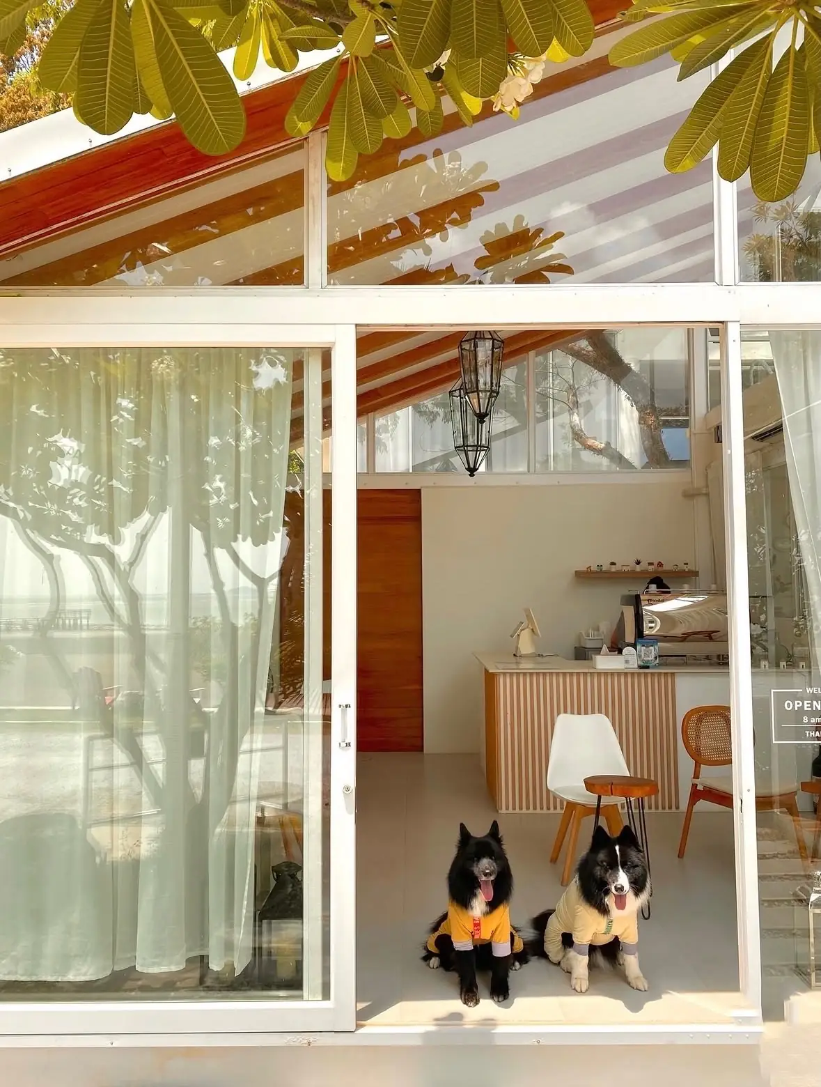 ซีเชลล์ วิลเลจ รีสอร์ท pets image 1