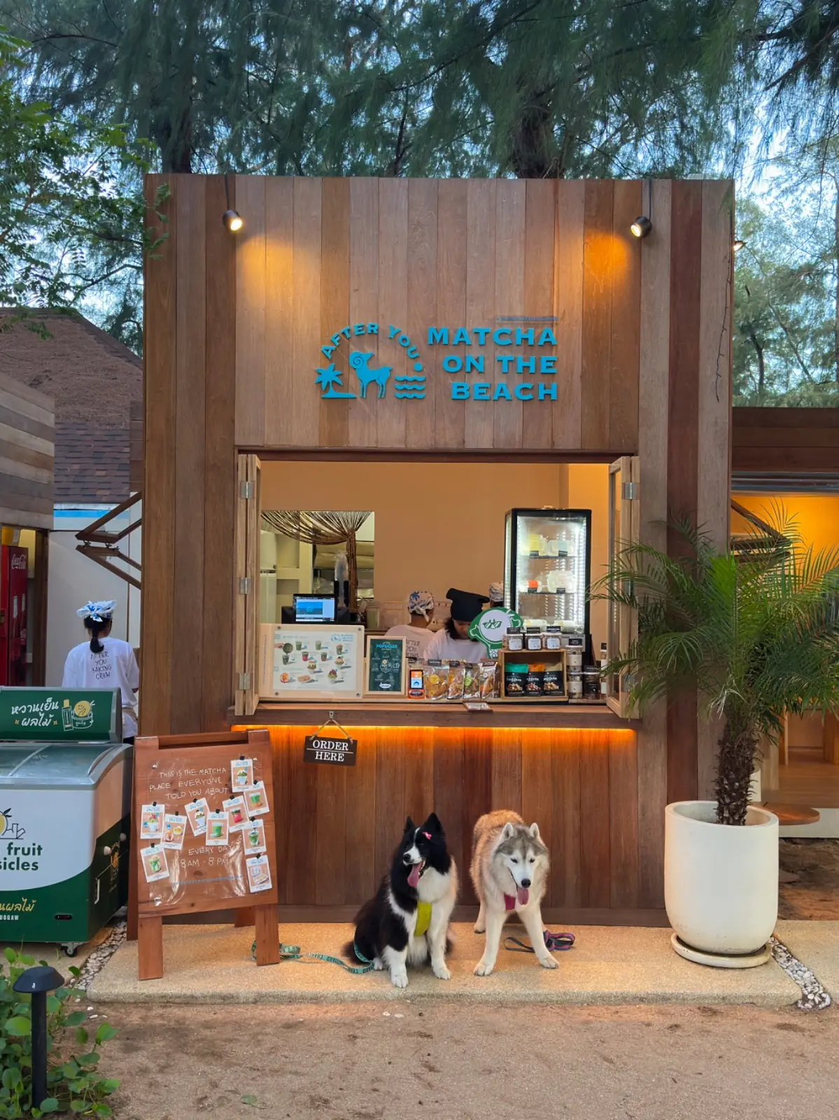 After You Matcha on the Beach pets image 2