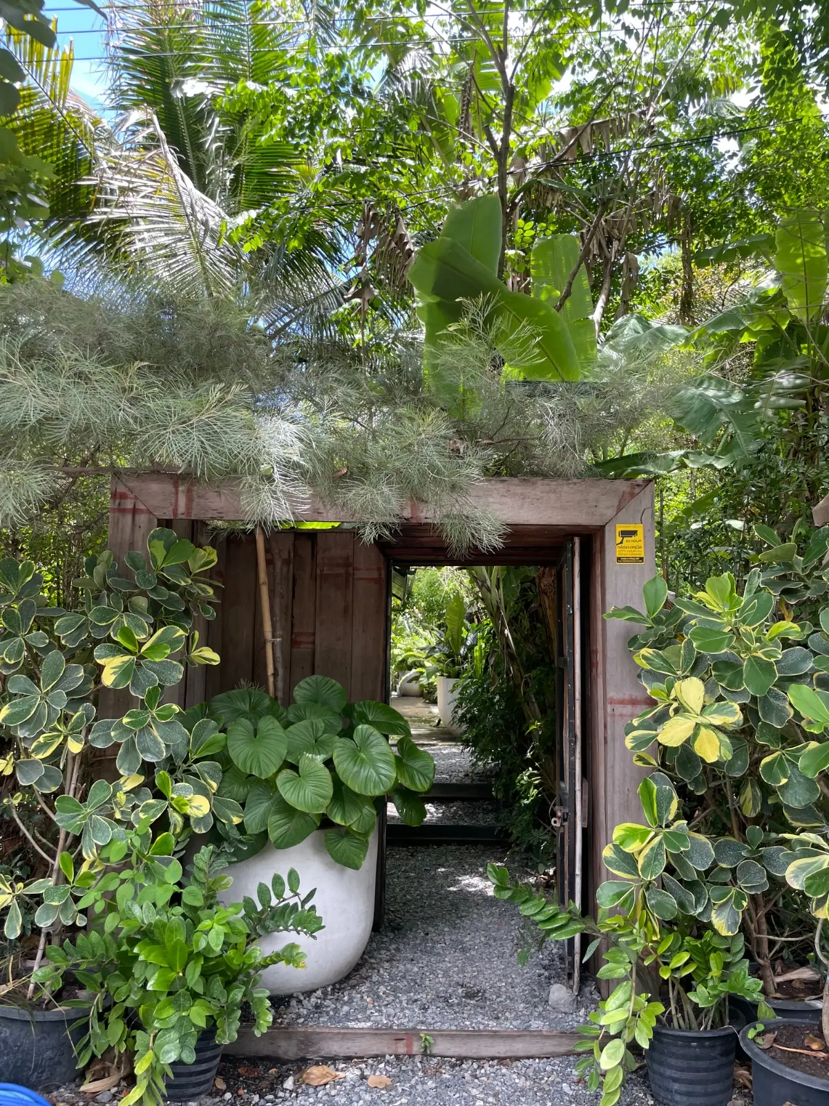 Carpenter Home Cafe - Villa Ayodia overall image 1