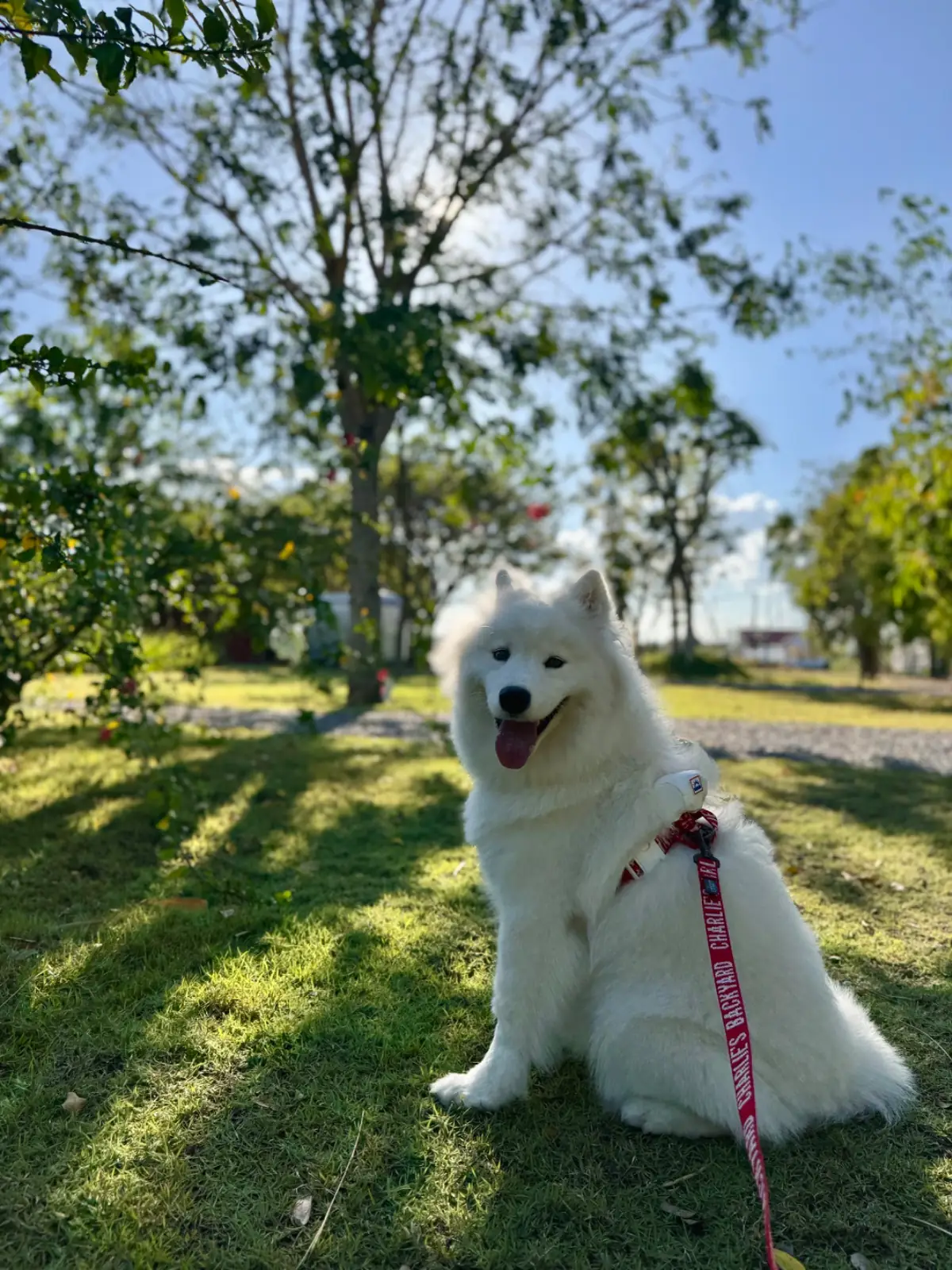 Have a good day at Pranburi other image 4