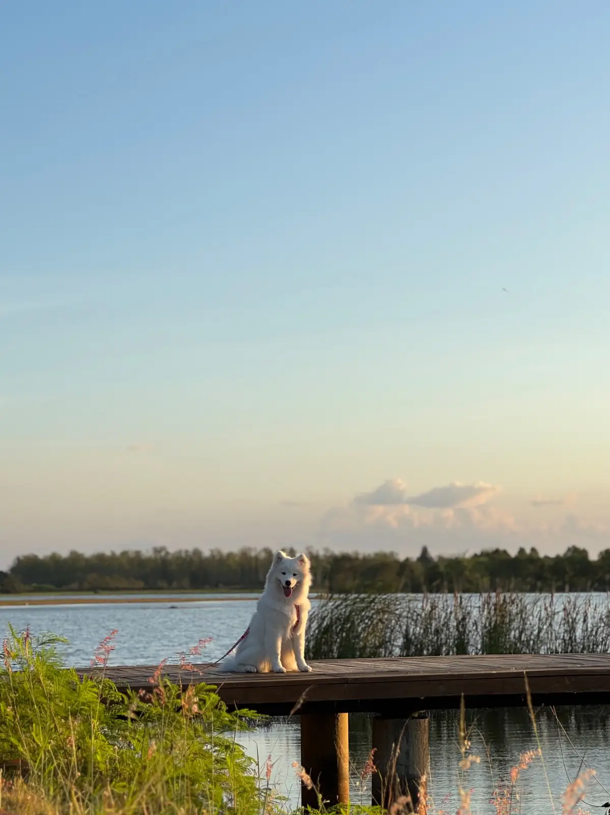 Have a good day at Pranburi other image 7