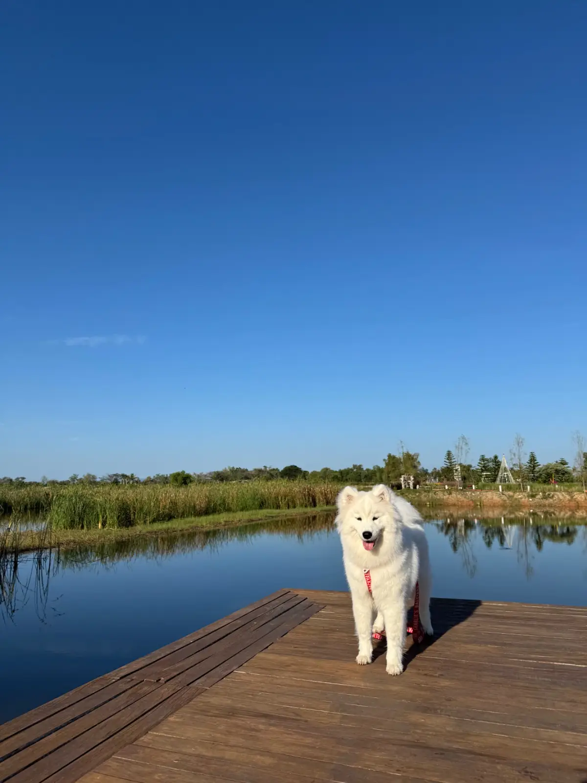 Have a good day at Pranburi other image 1