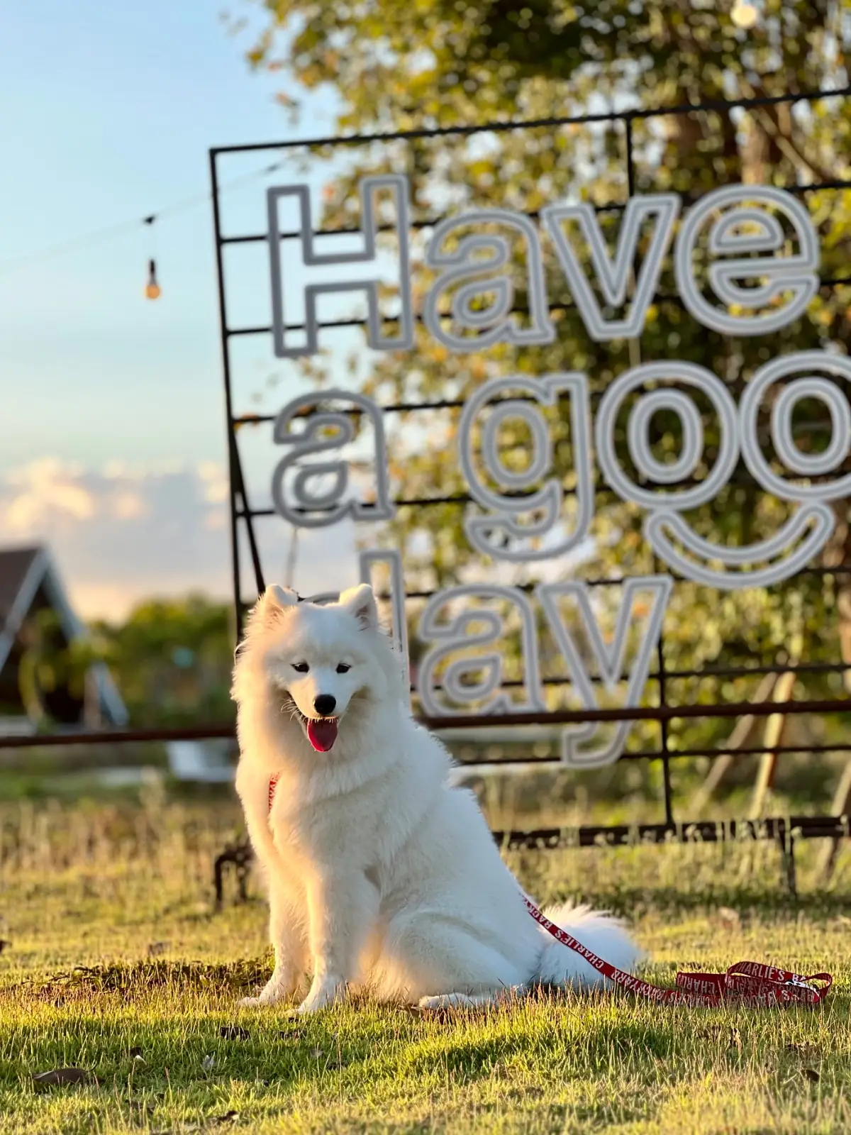 Have a good day at Pranburi other image 3