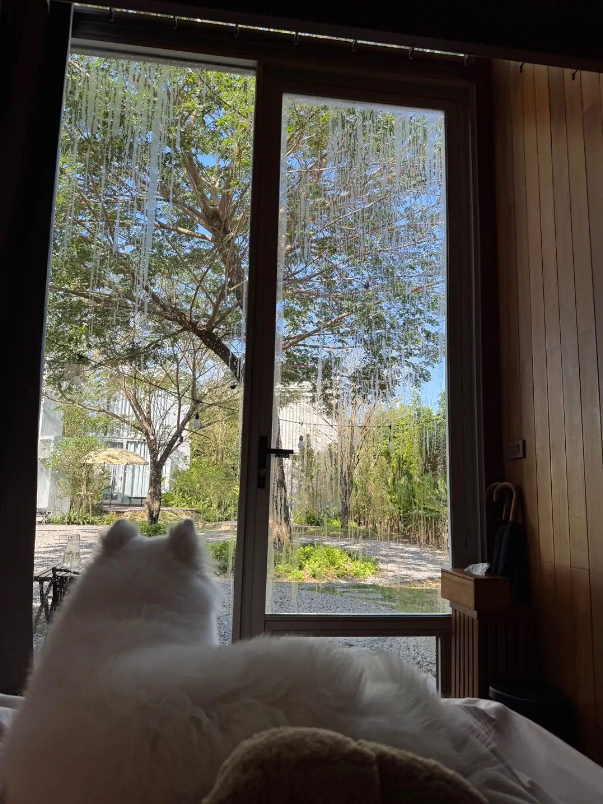 Have a good day at Pranburi other image 2