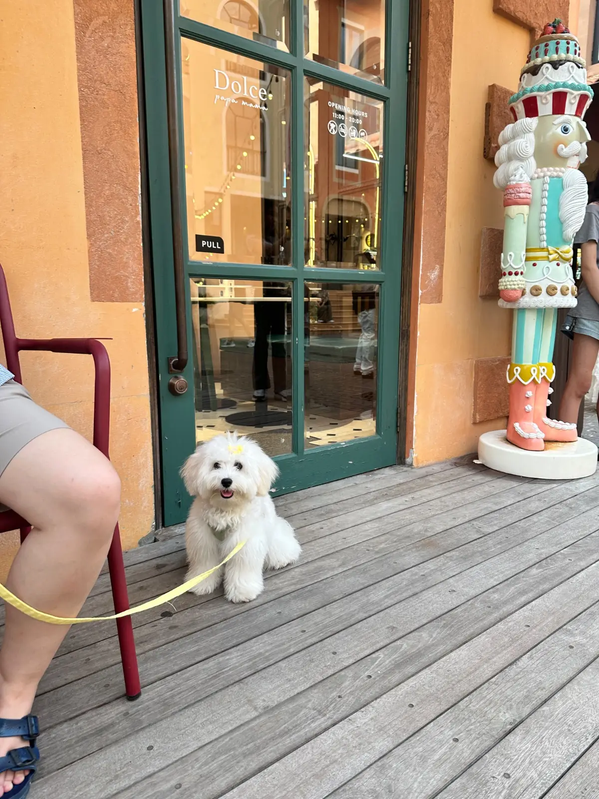 ทอสกานา วัลเล่ pets image 3