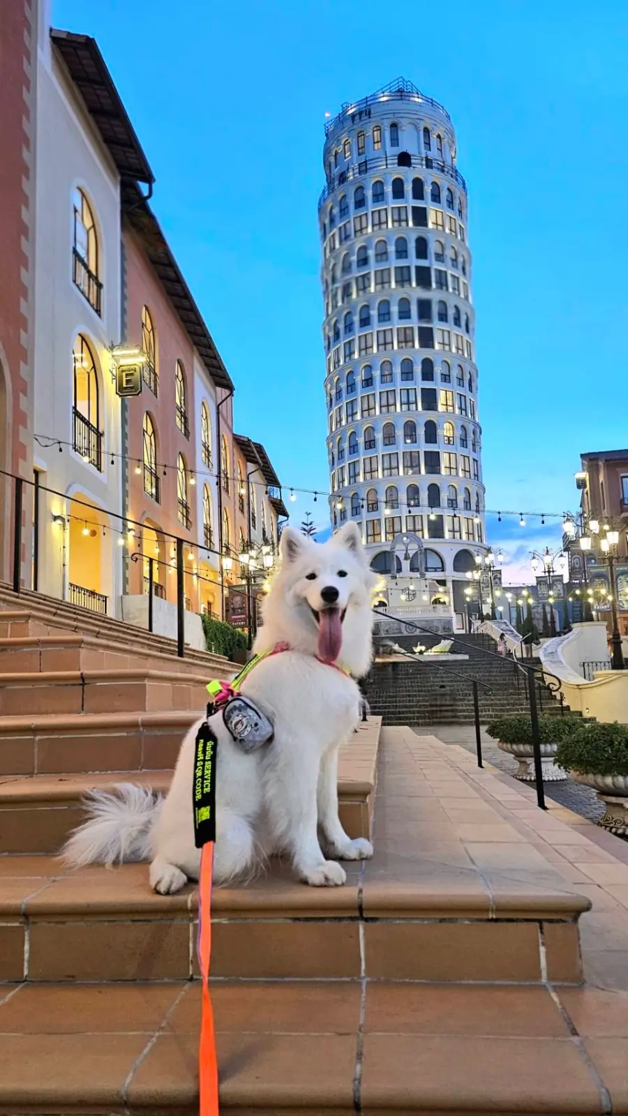 ทอสกานา วัลเล่ pets image 2