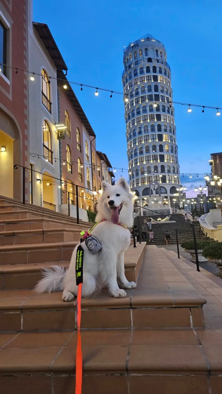 ทอสกานา วัลเล่ pets image 1