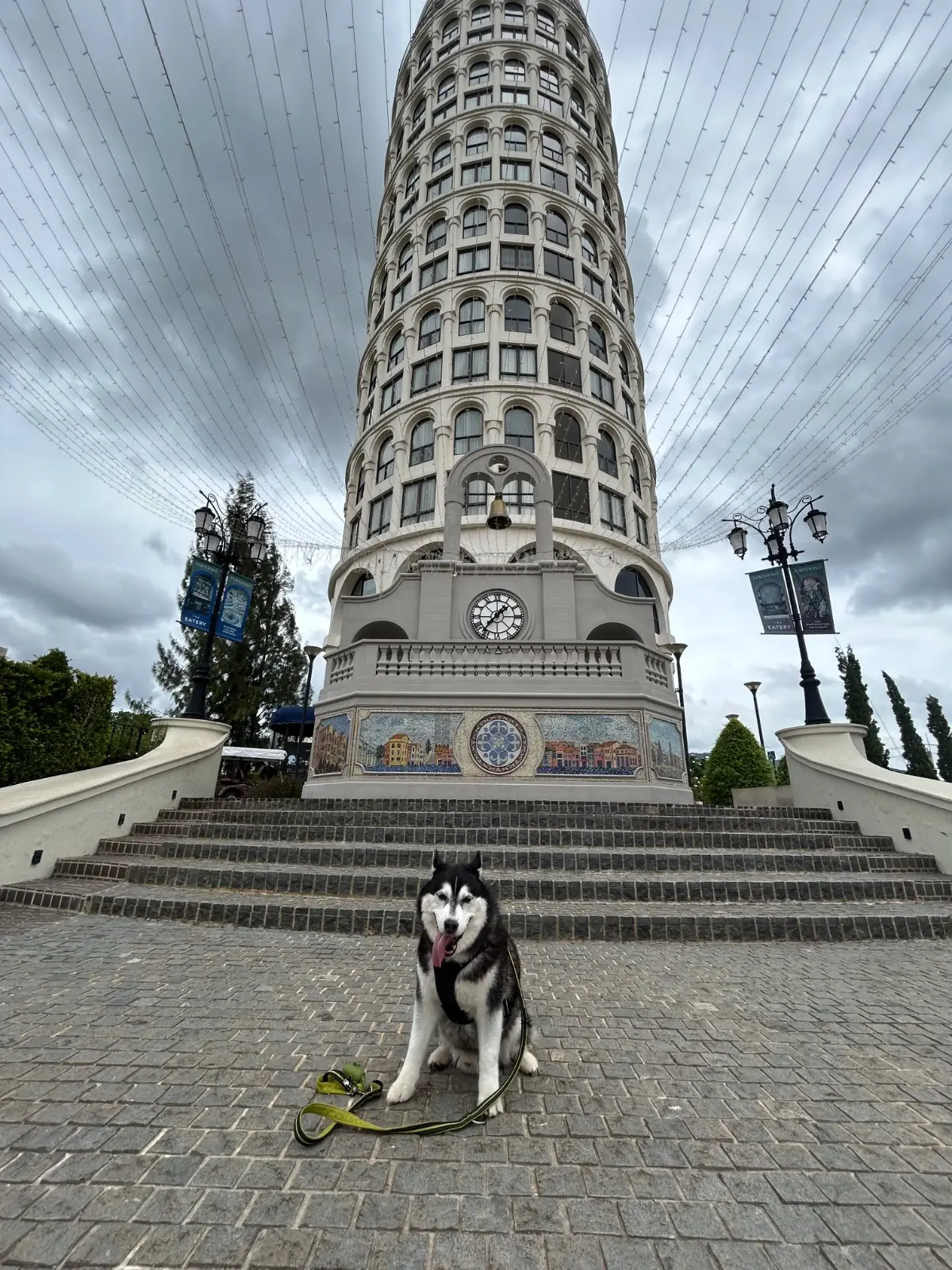 ทอสกานา วัลเล่ pets image 6