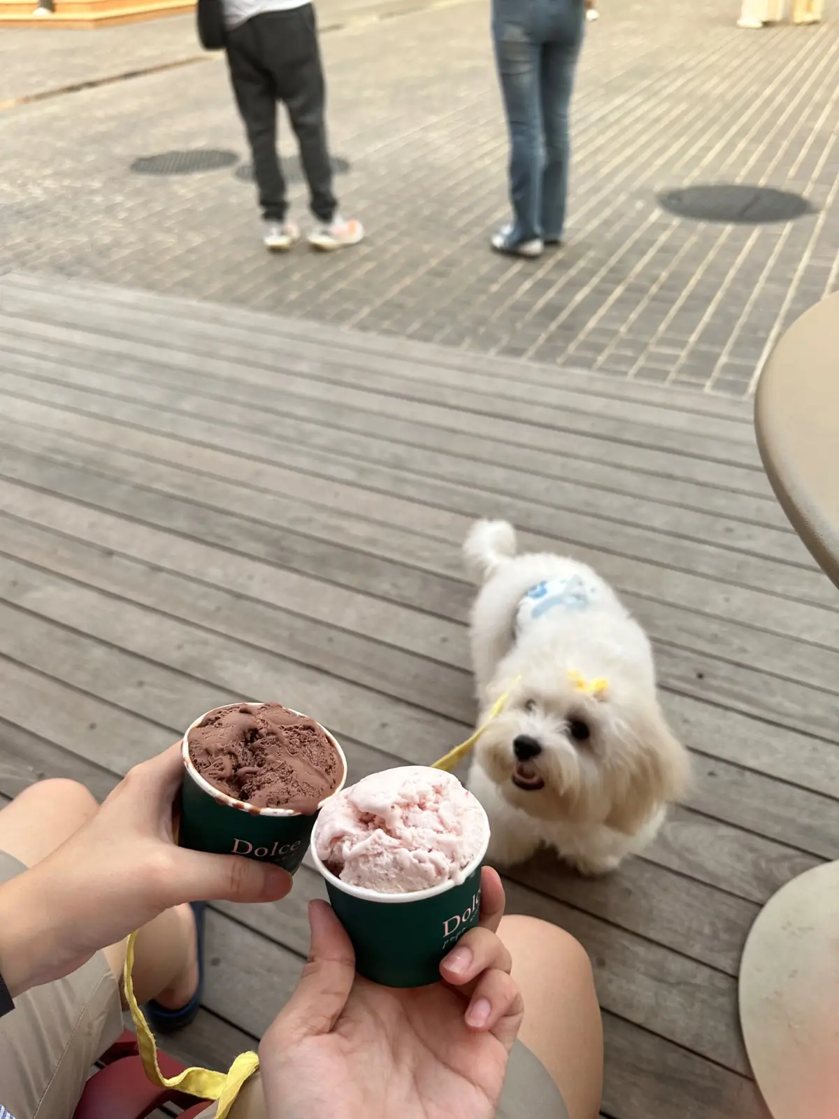 ทอสกานา วัลเล่ pets image 2