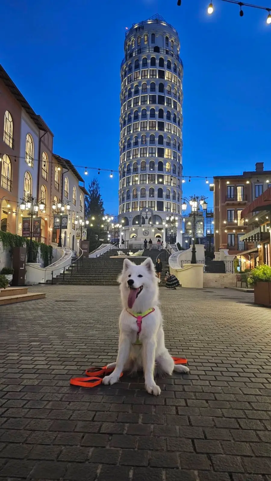 ทอสกานา วัลเล่ pets image 4
