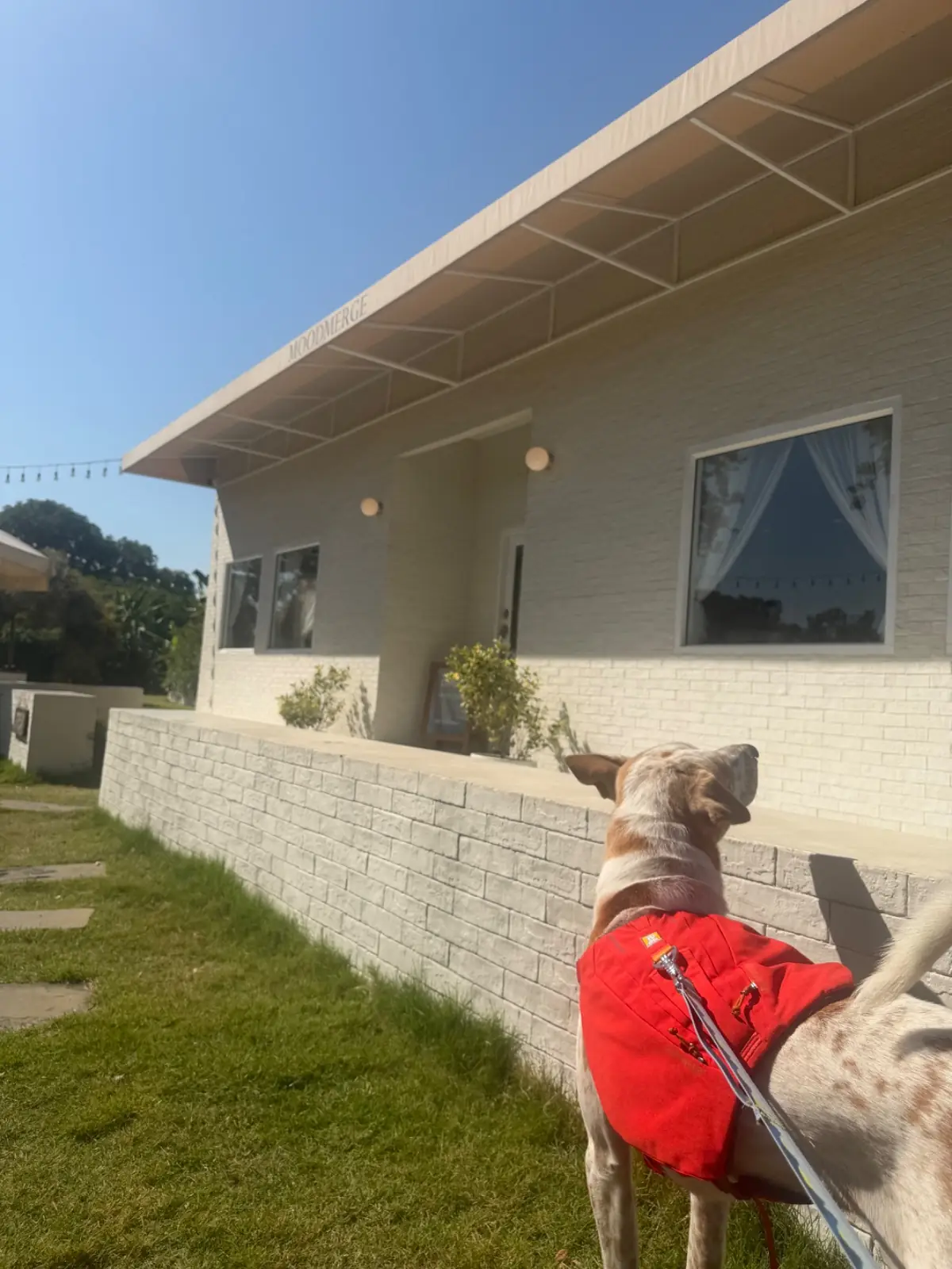 GoodMood.coffee ambiance image 1