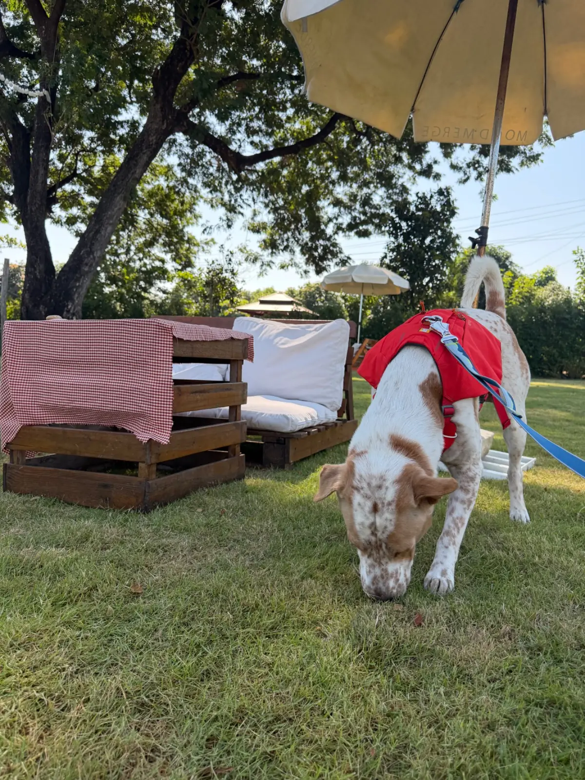 GoodMood.coffee ambiance image 3