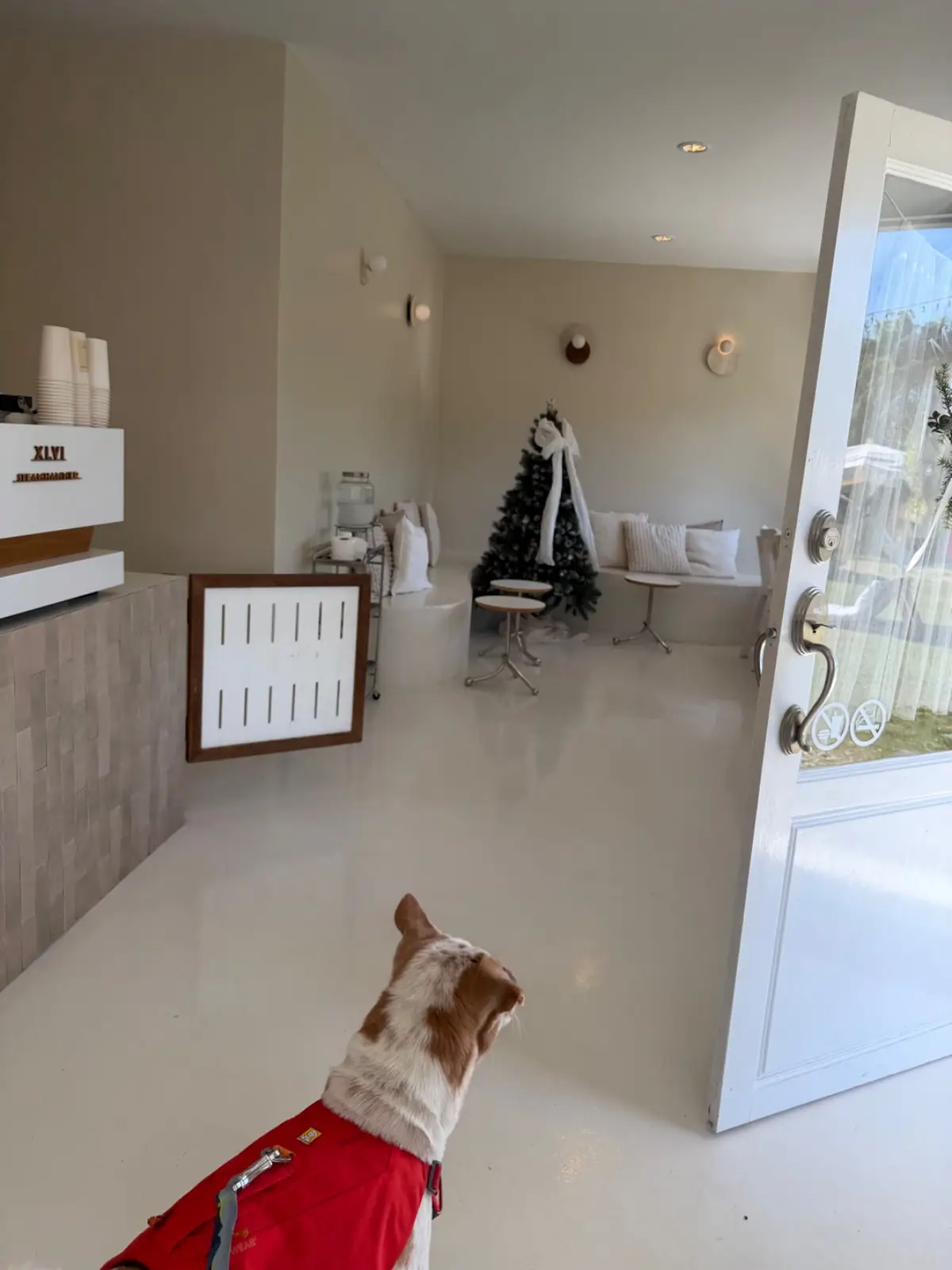 GoodMood.coffee ambiance image 5