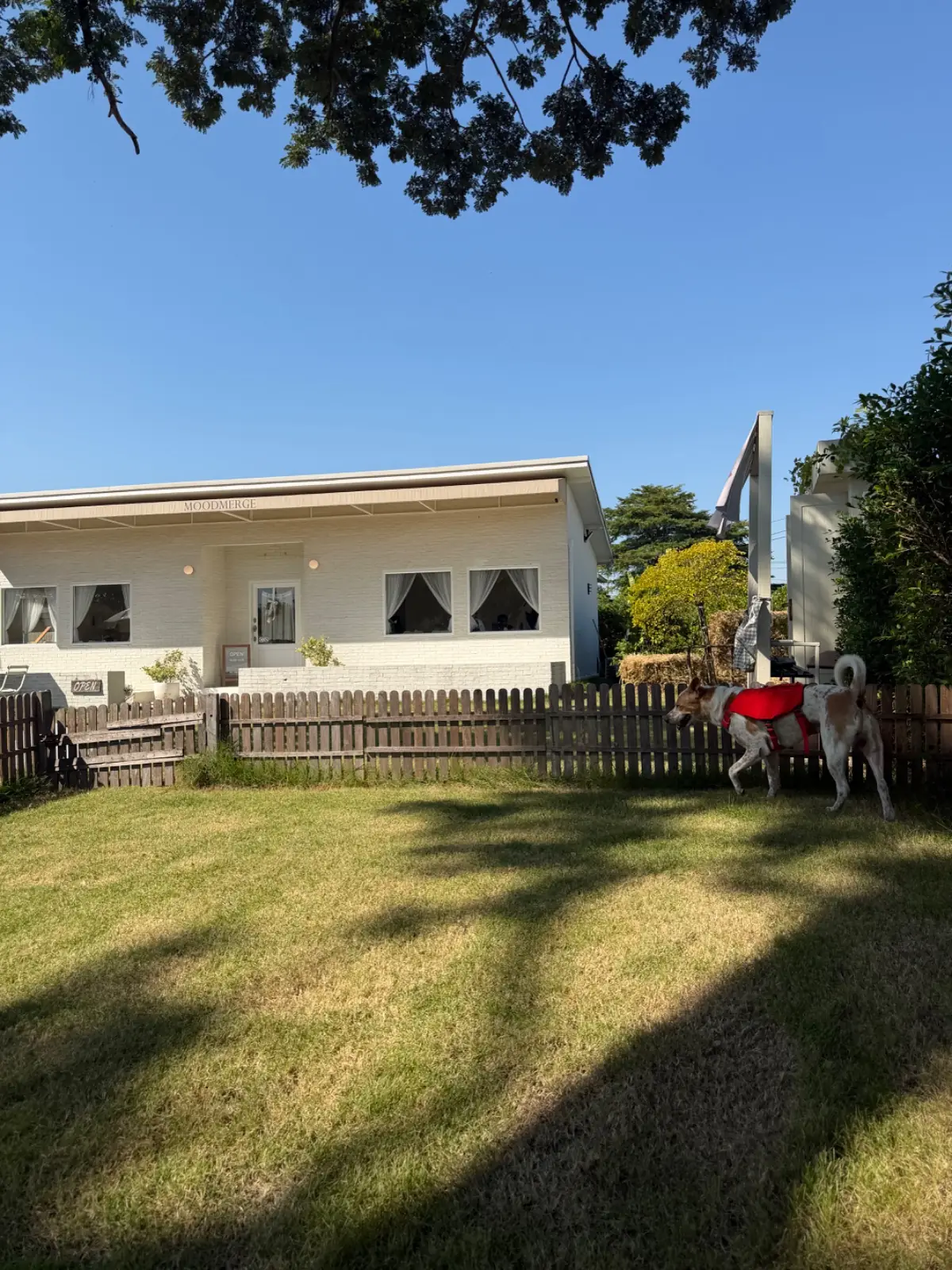 GoodMood.coffee ambiance image 2