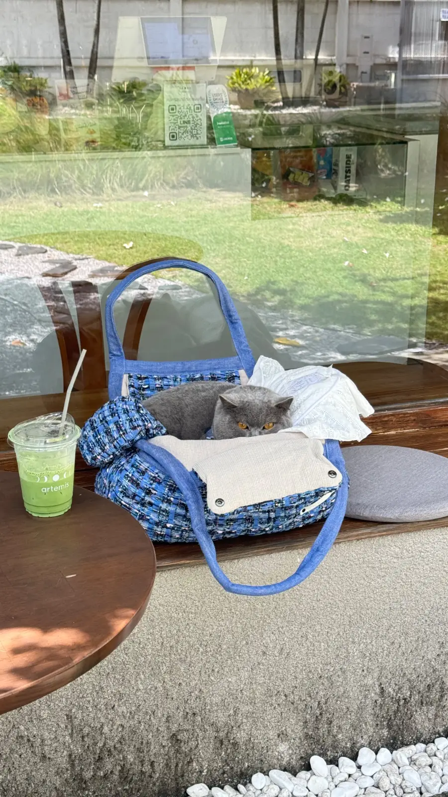 Artemis Cafe pets image 1
