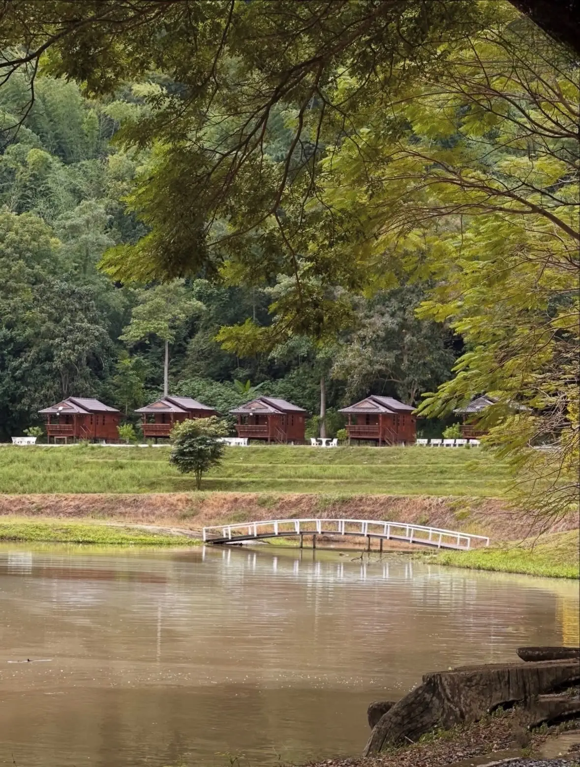 ภูพฤกษาคาเฟ่ PhuPruksacafe overall image 1
