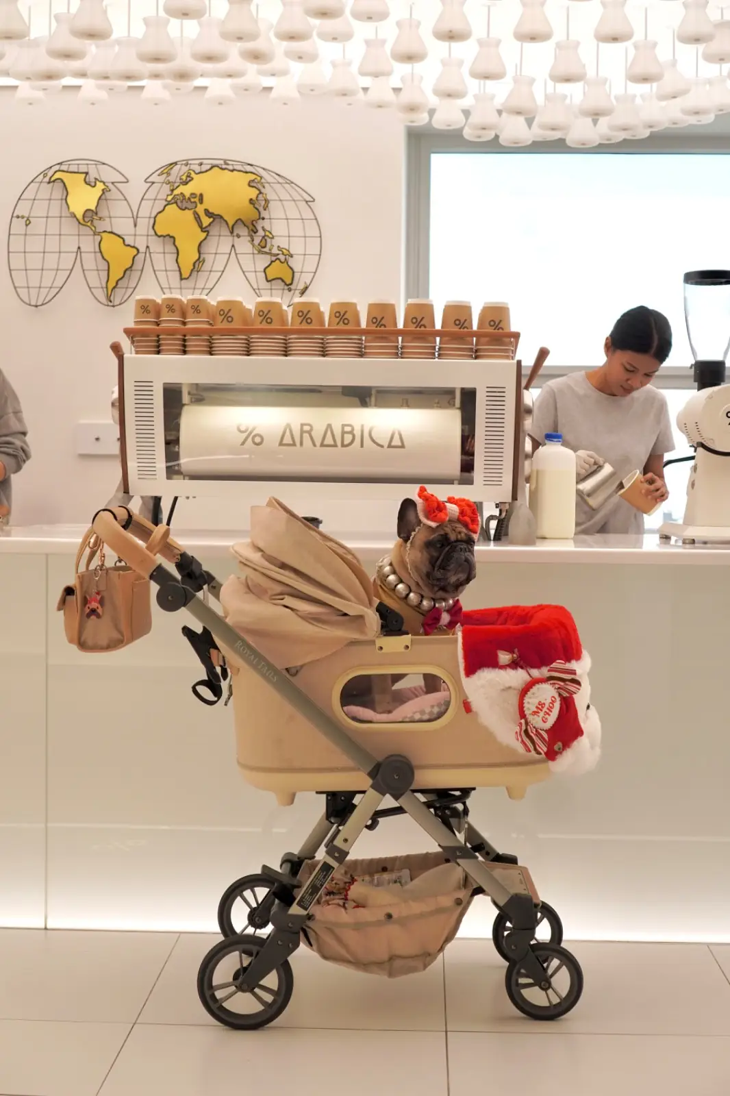 อาราบิก้า แบงค็อก - เอ็มไพร์ ทาวเวอร์ pets image 1