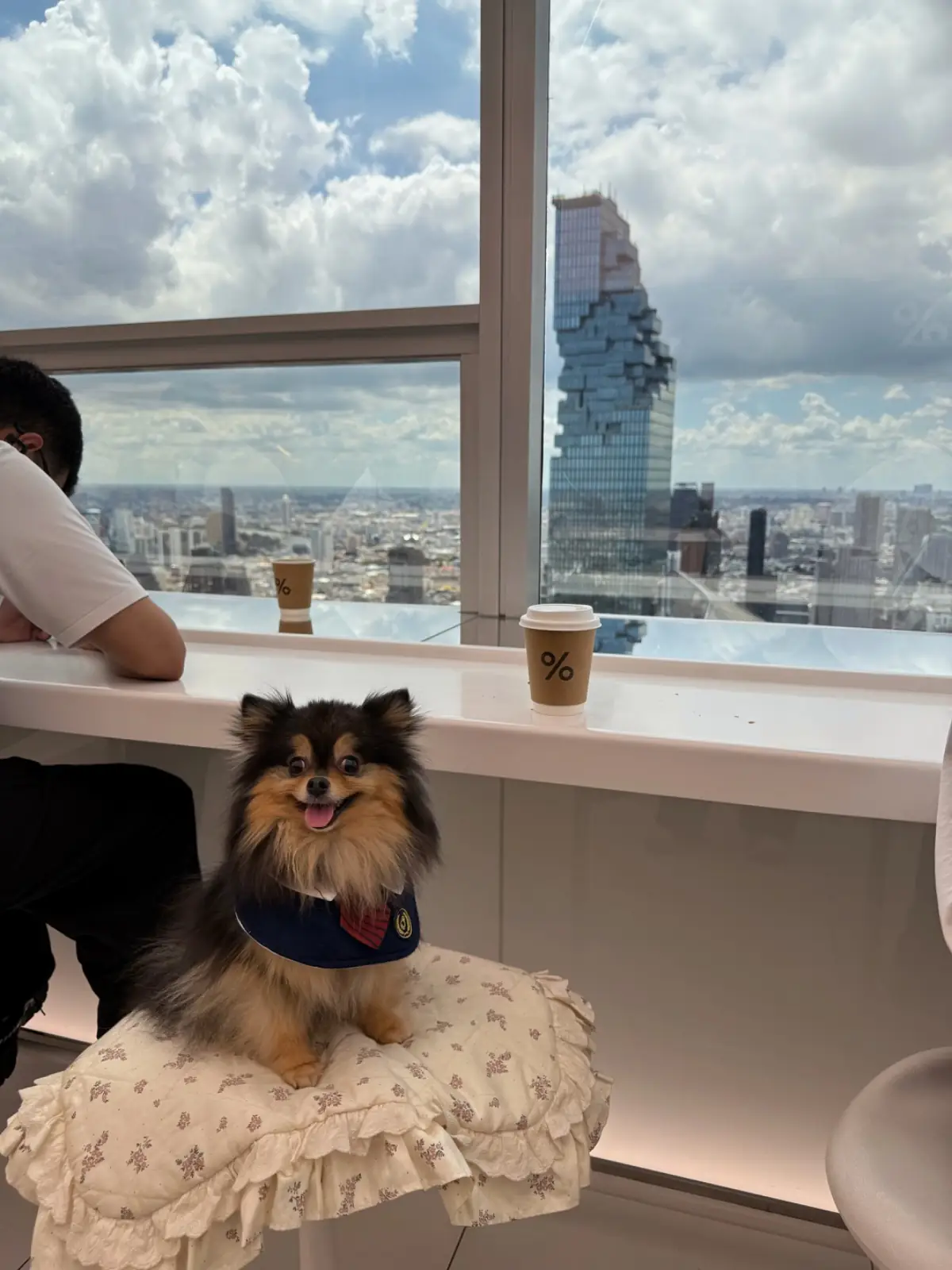 Arabica Bangkok - Empire Tower pets image 9