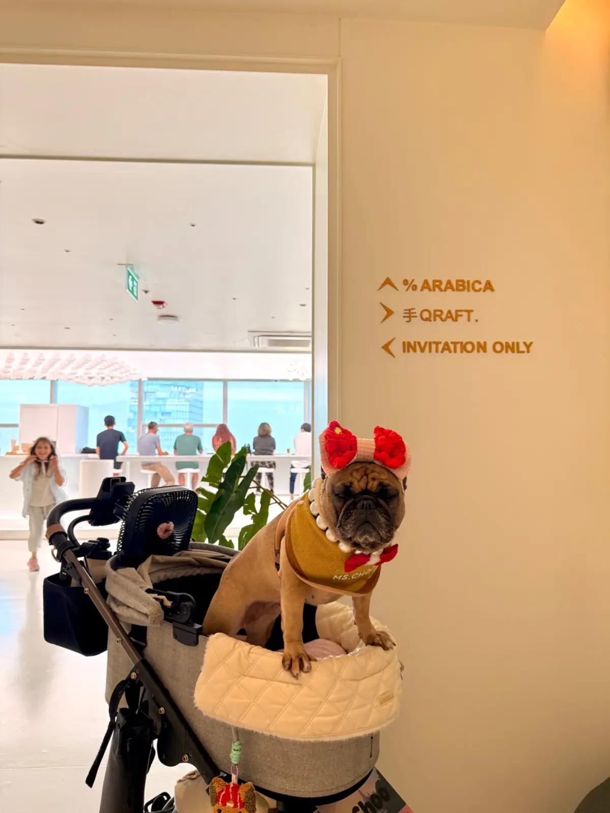 อาราบิก้า แบงค็อก - เอ็มไพร์ ทาวเวอร์ pets image 2