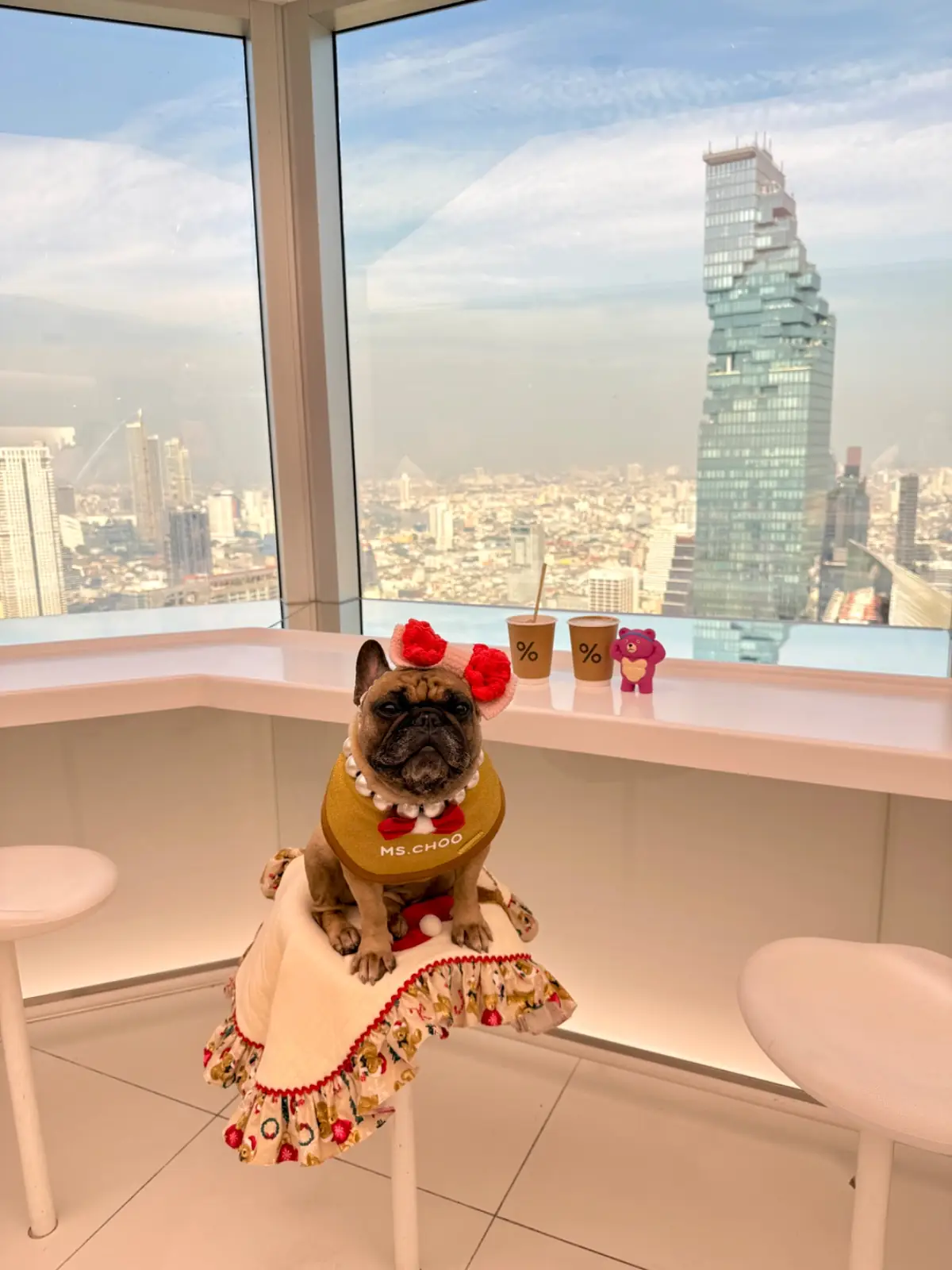 อาราบิก้า แบงค็อก - เอ็มไพร์ ทาวเวอร์ pets image 5