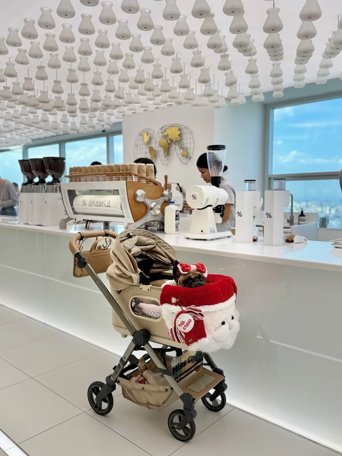 อาราบิก้า แบงค็อก - เอ็มไพร์ ทาวเวอร์ pets image 3