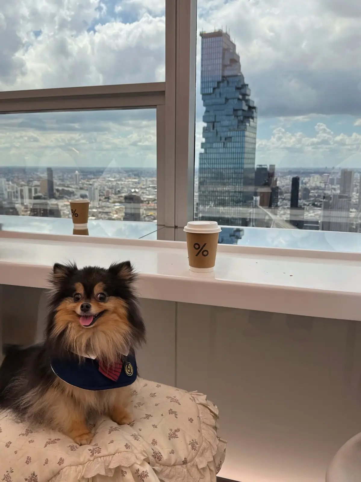 Arabica Bangkok - Empire Tower pets image 6