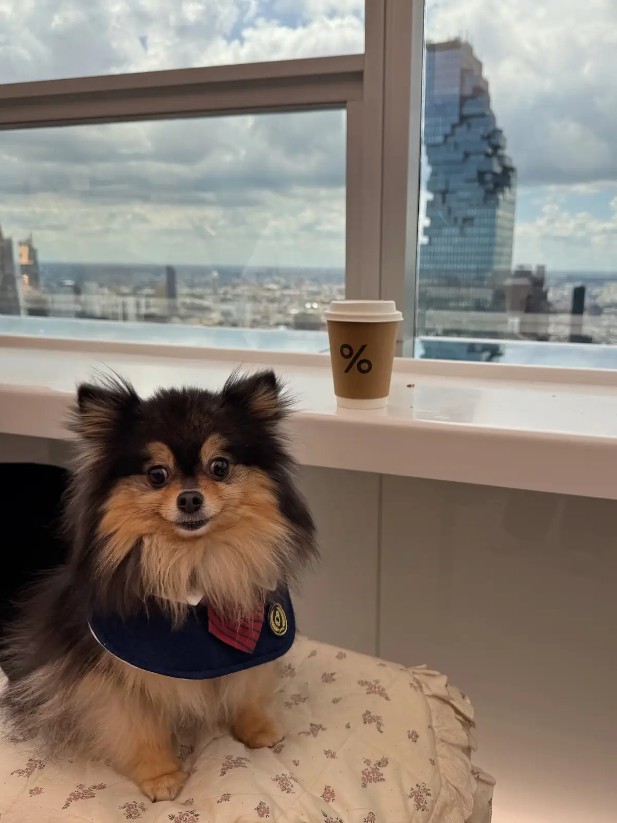 Arabica Bangkok - Empire Tower pets image 8