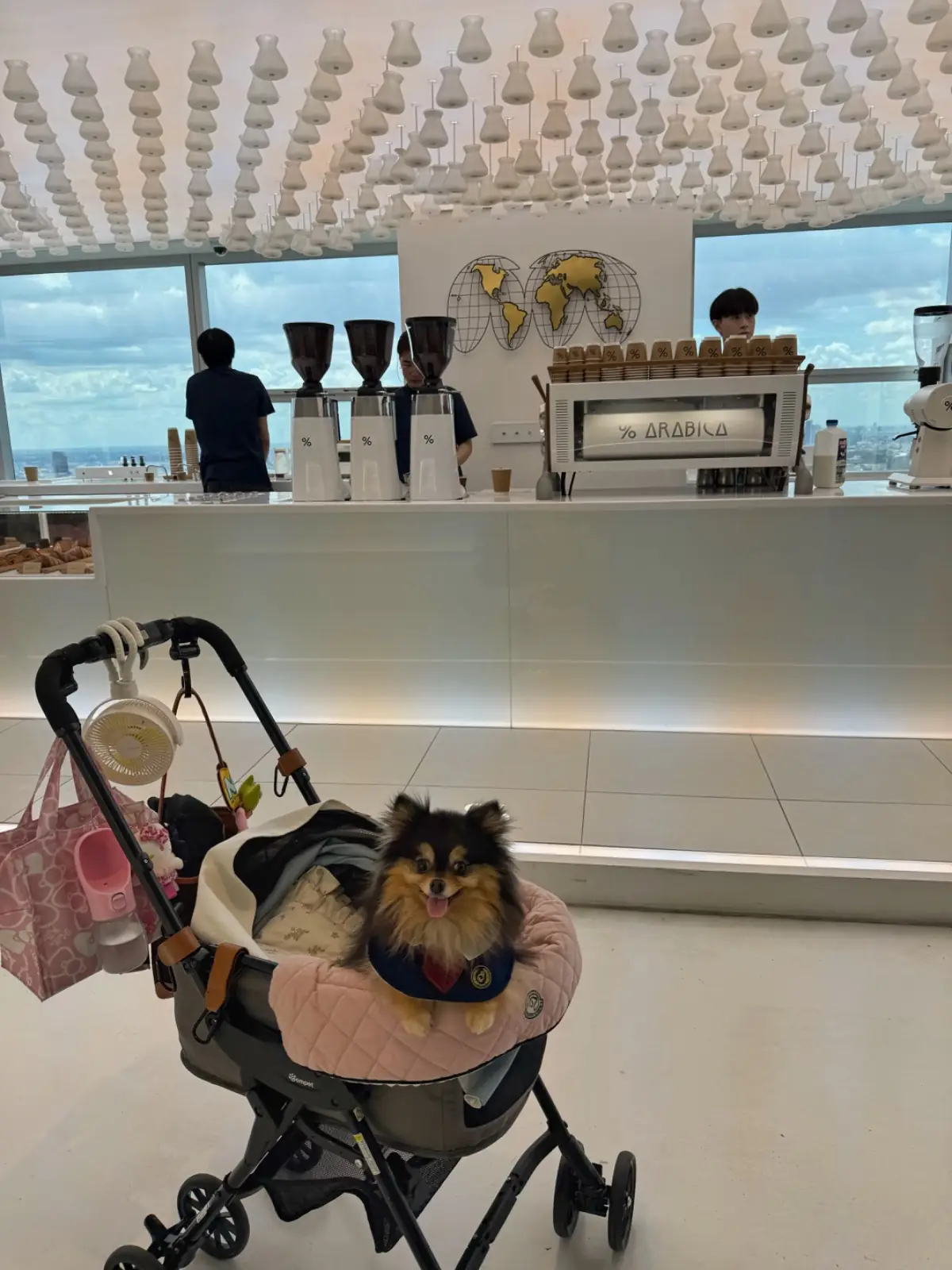 Arabica Bangkok - Empire Tower pets image 10