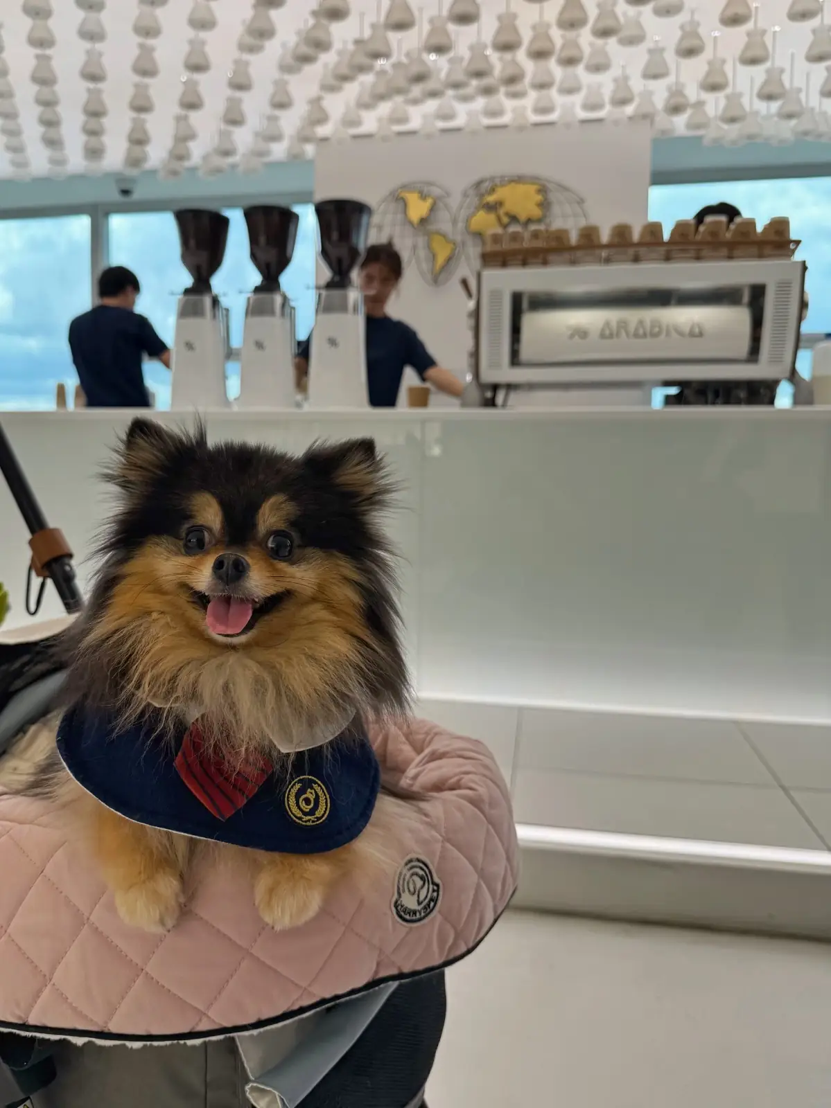 Arabica Bangkok - Empire Tower pets image 7