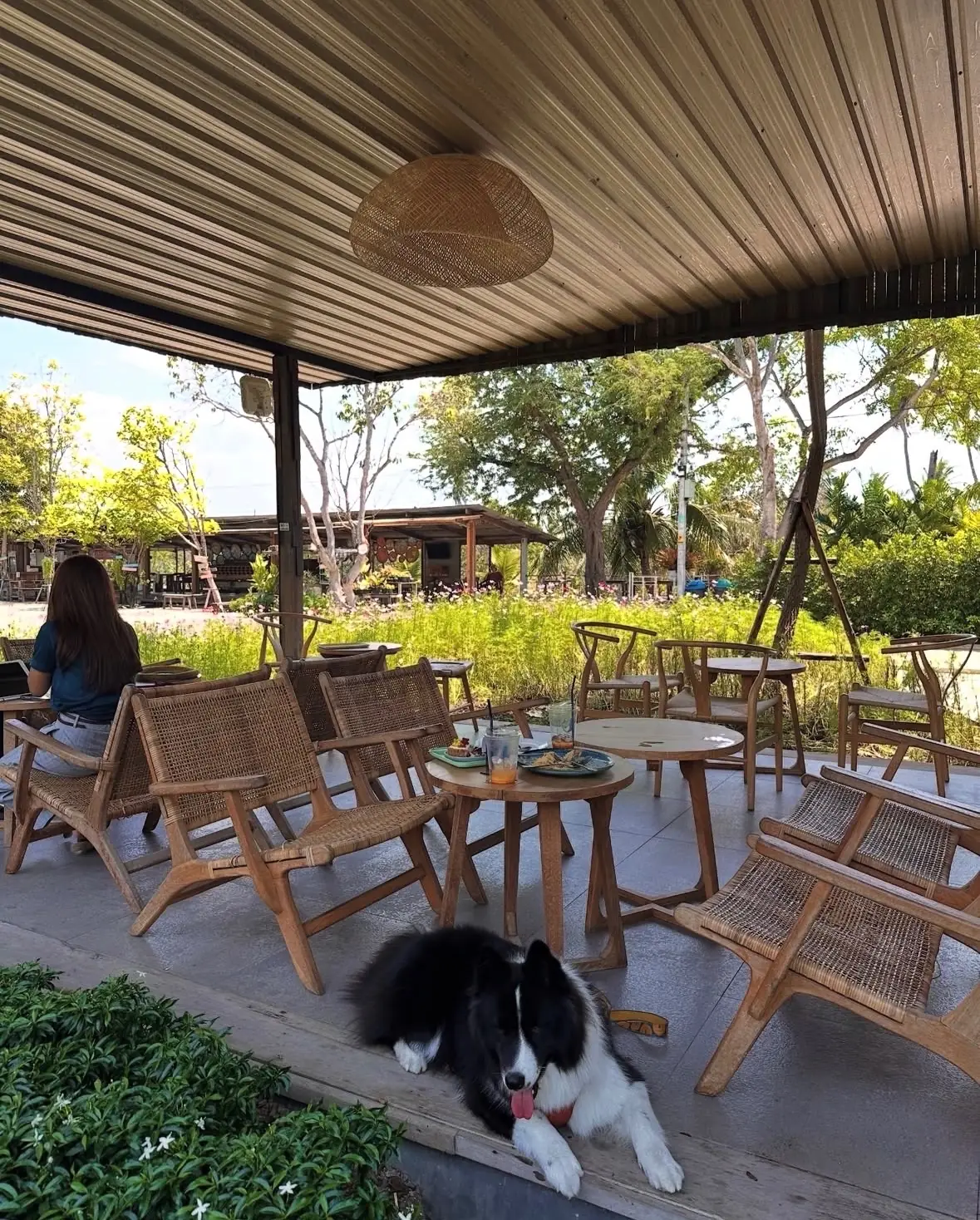 U Cup Coffee - Chachoengsao pets image 1