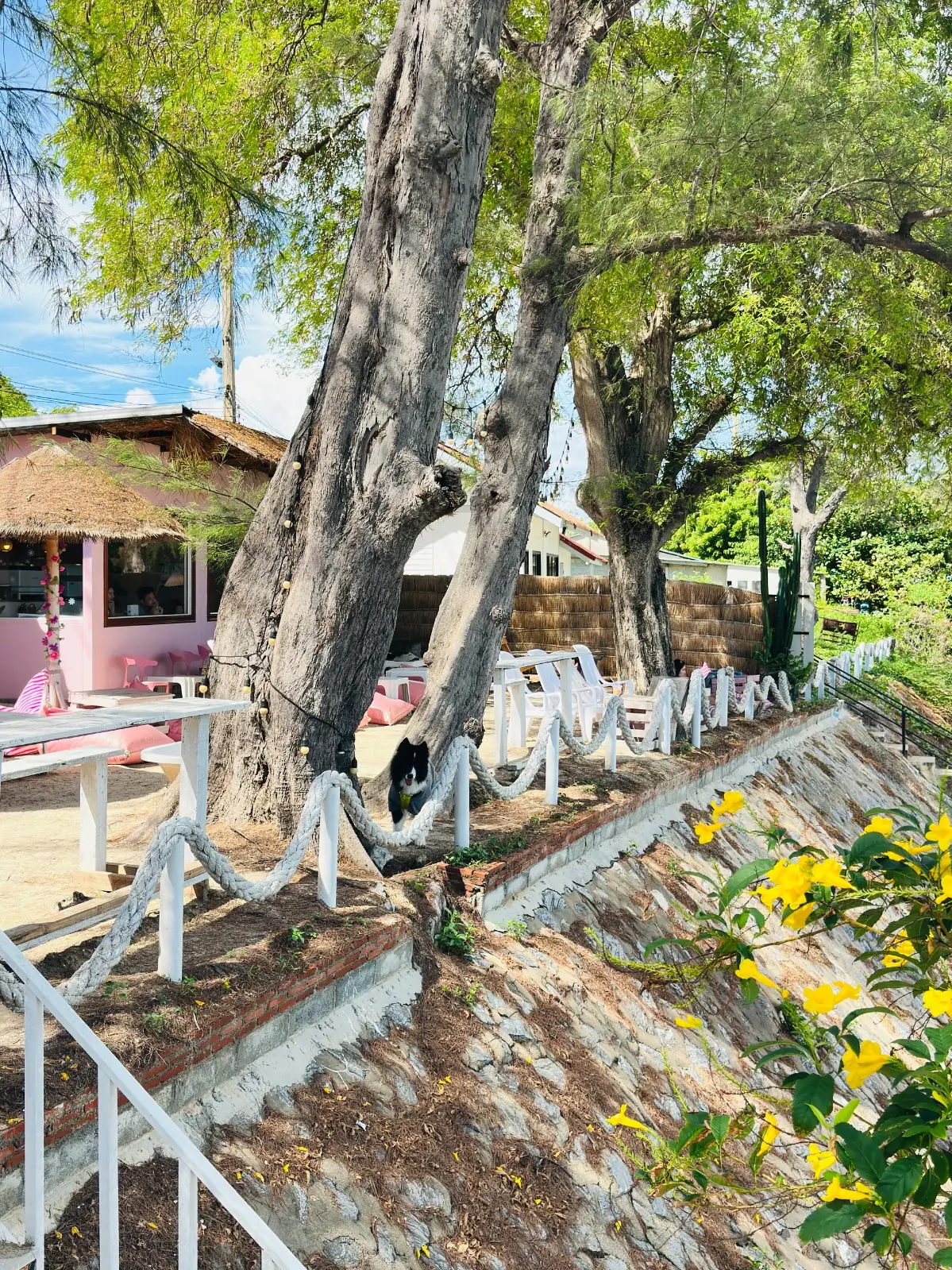Curve Beach Cafe - Sattahip overall image 1
