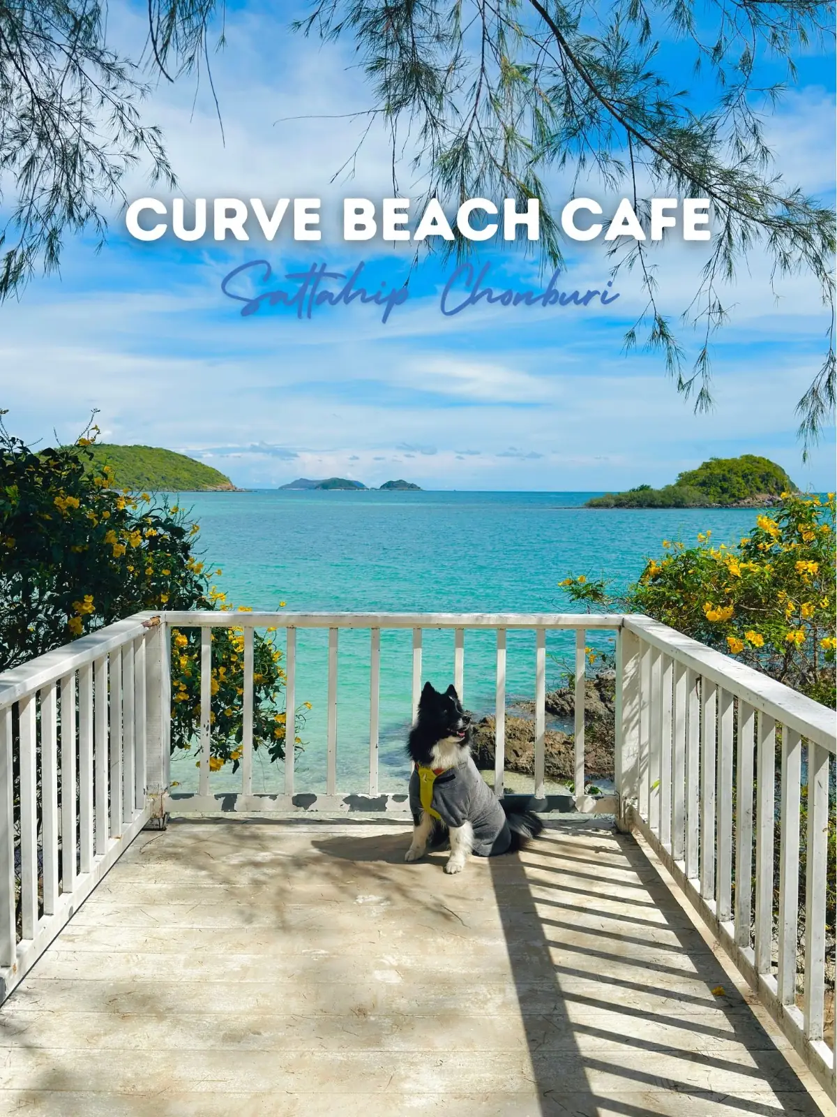 Curve Beach Cafe - Sattahip pets image 1