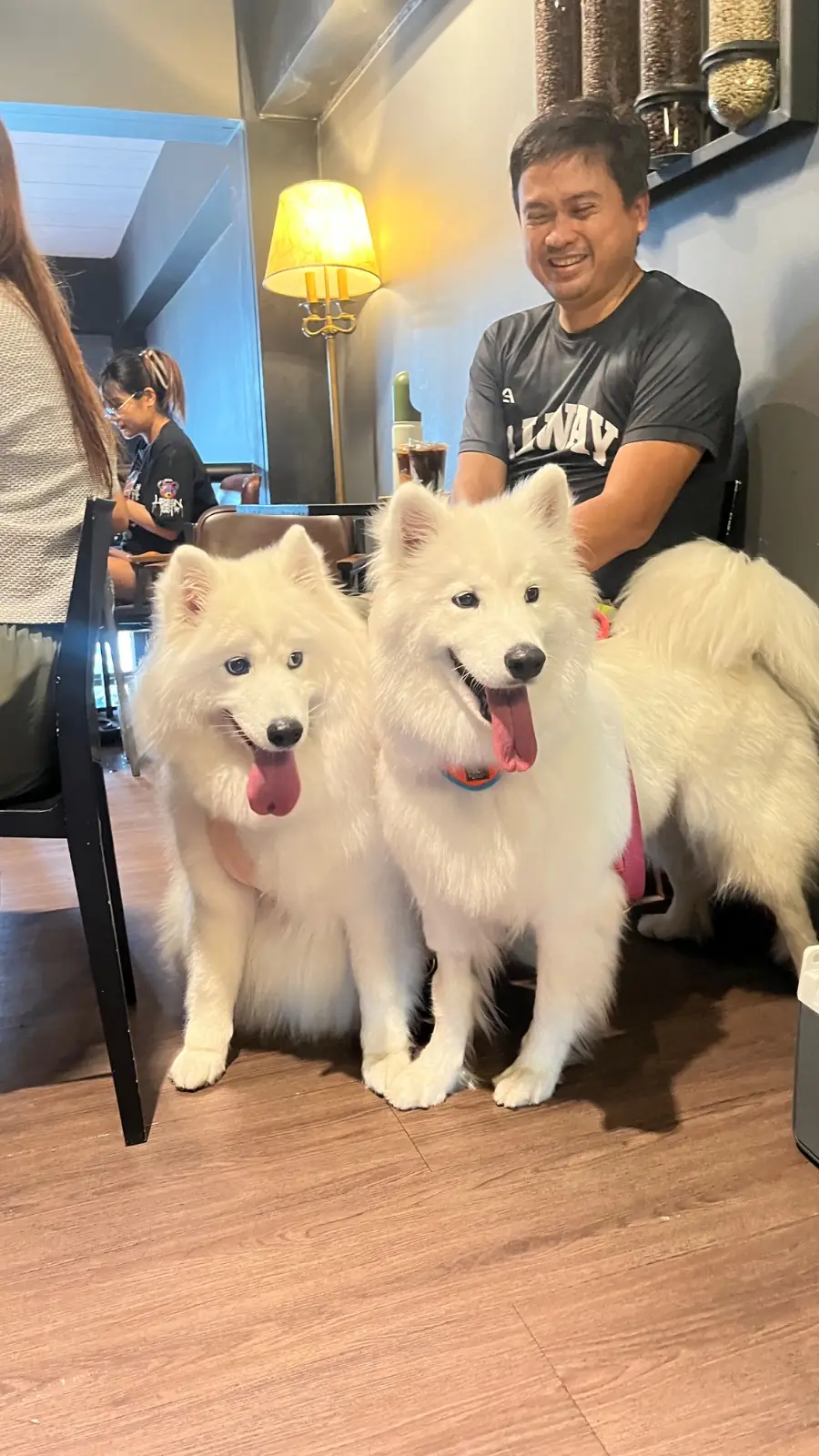 CHARGE Specialty coffee pets image 5