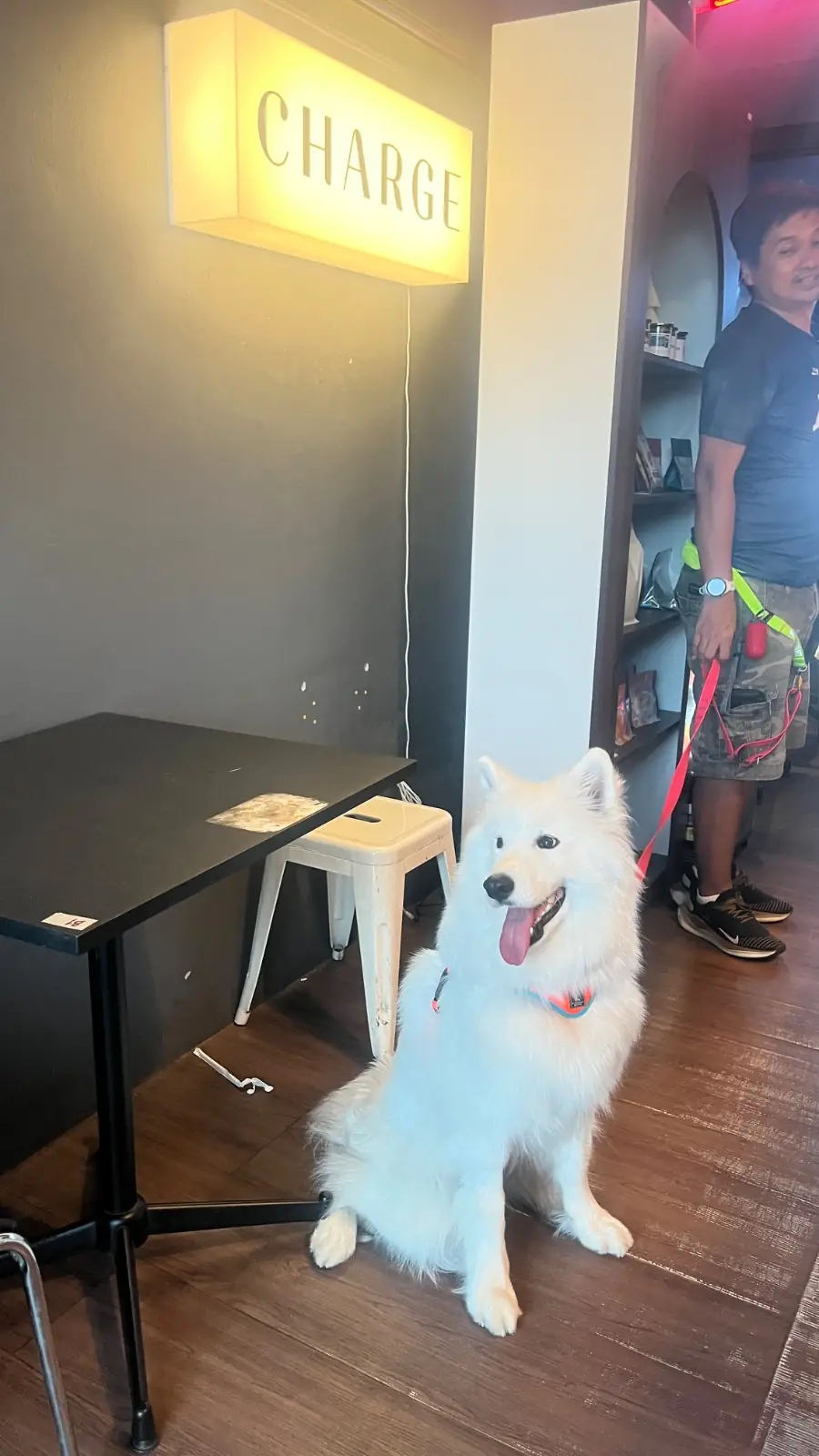 CHARGE Specialty coffee pets image 2