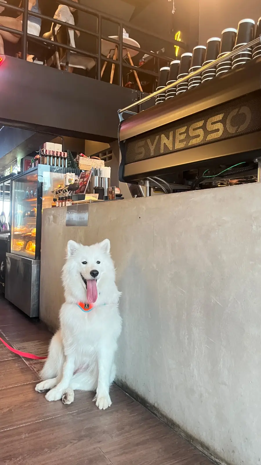 CHARGE Specialty coffee pets image 3